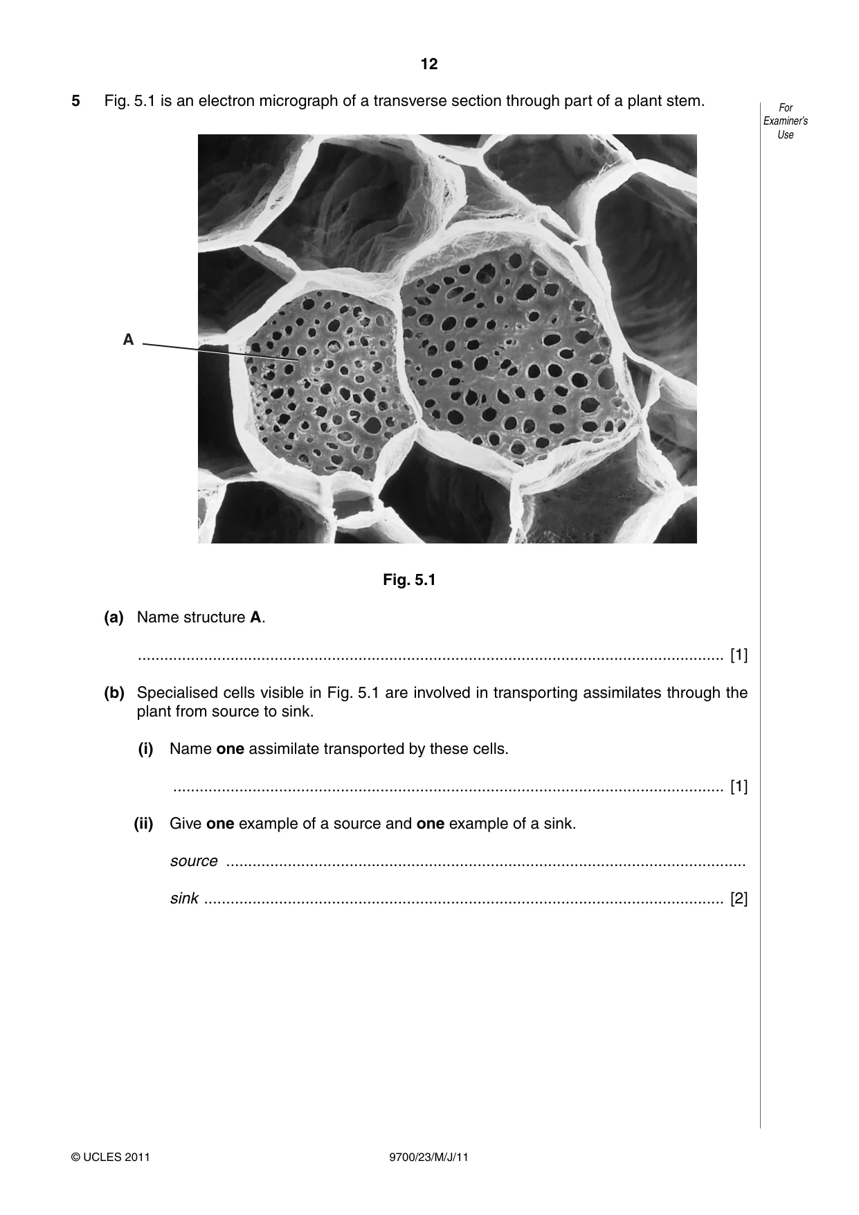 Cambridge A Level Biology 9700 2011 May/June Paper 2 · Variant 3 question paper, page 12 of 16