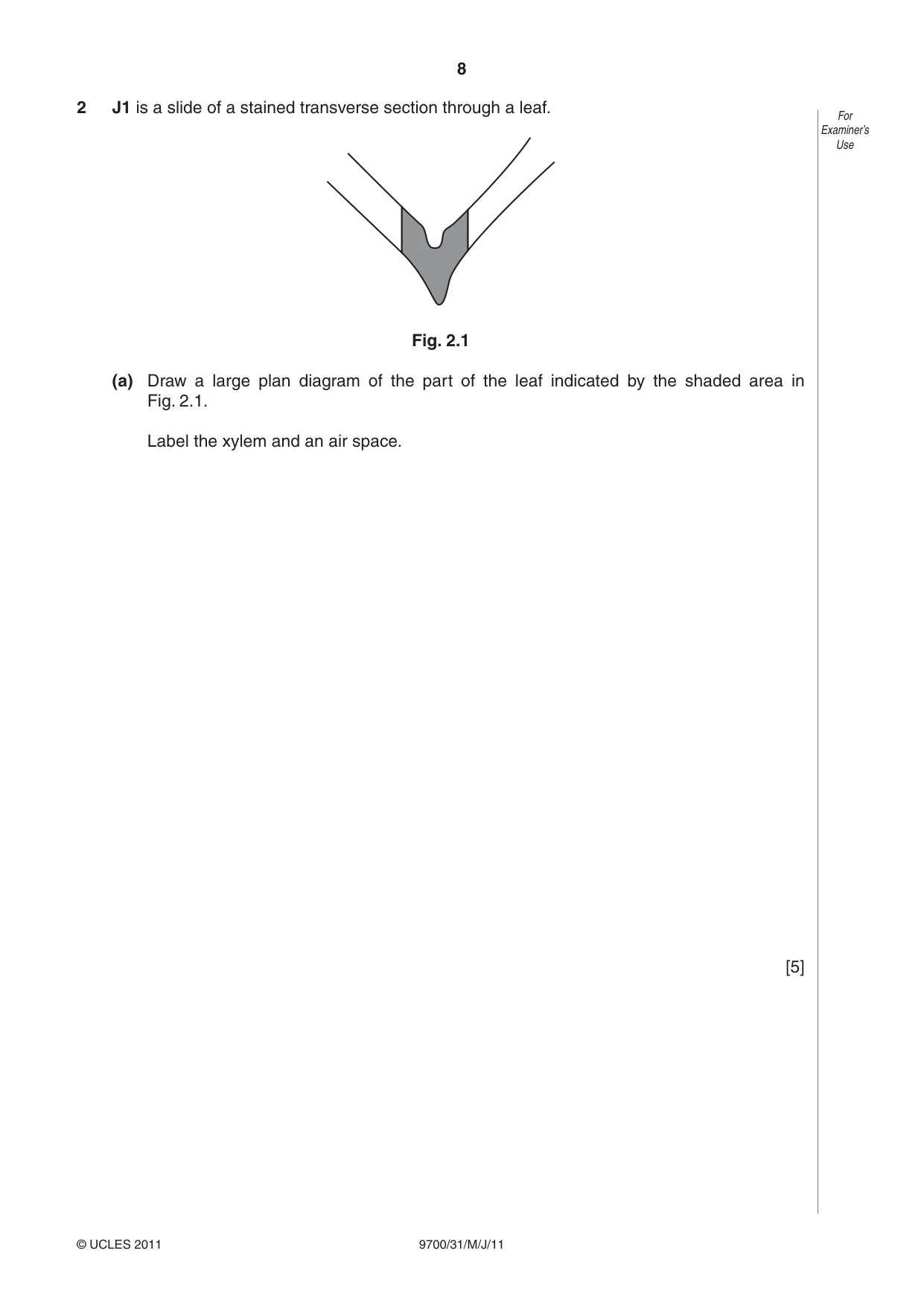Cambridge A Level Biology 9700 2011 May/June Paper 3 · Variant 1 question paper, page 8 of 12