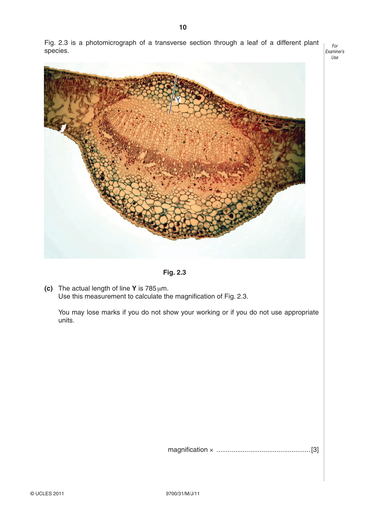 Cambridge A Level Biology 9700 2011 May/June Paper 3 · Variant 1 question paper, page 10 of 12
