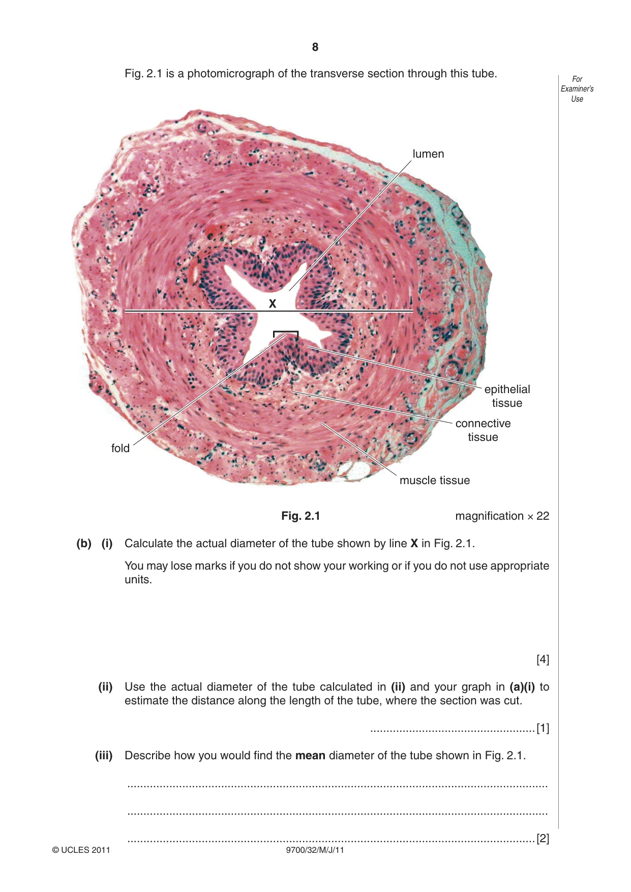 Cambridge A Level Biology 9700 2011 May/June Paper 3 · Variant 2 question paper, page 8 of 12