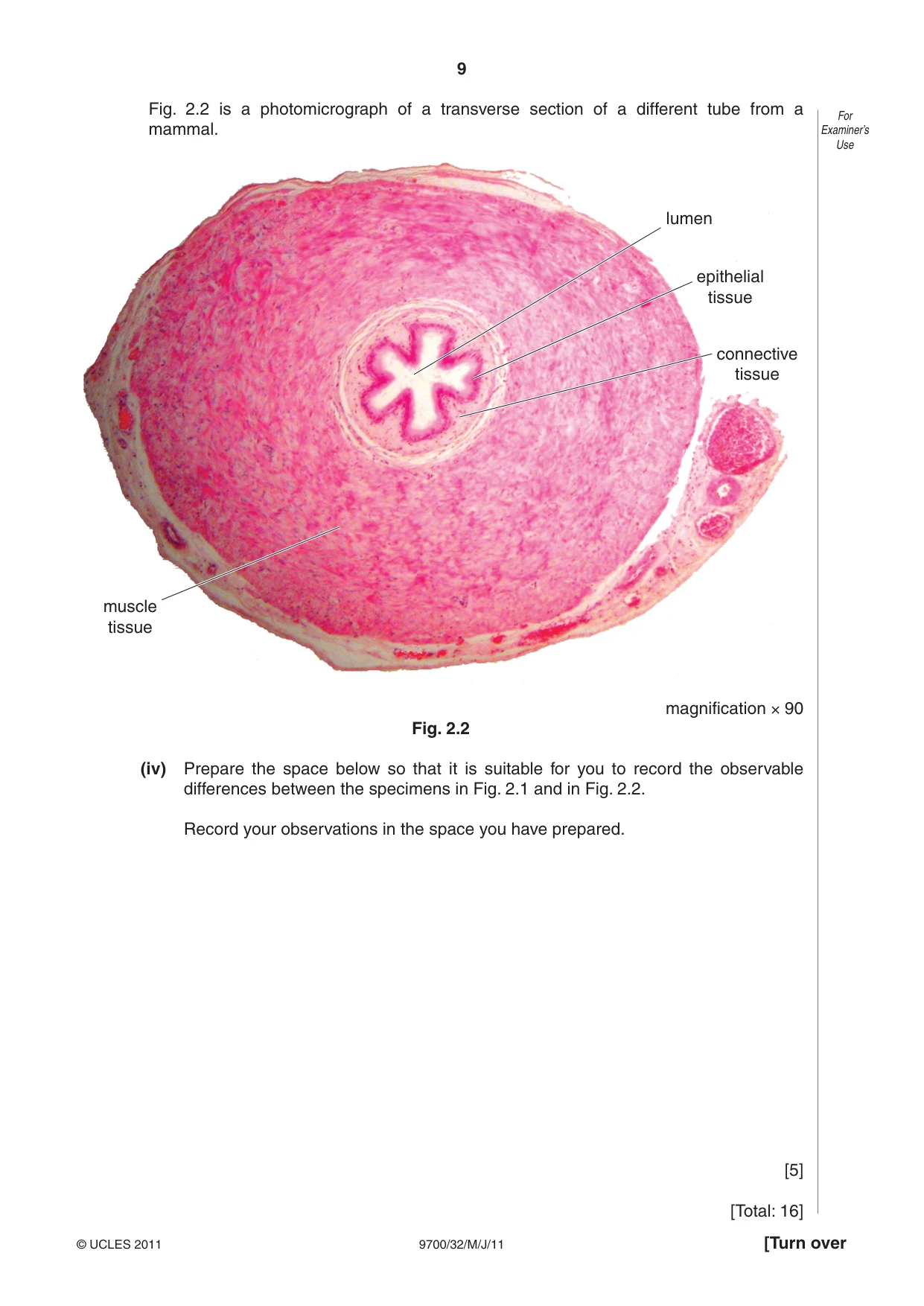 Cambridge A Level Biology 9700 2011 May/June Paper 3 · Variant 2 question paper, page 9 of 12
