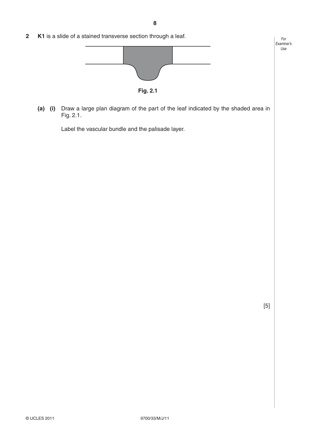 Cambridge A Level Biology 9700 2011 May/June Paper 3 · Variant 3 question paper, page 8 of 12