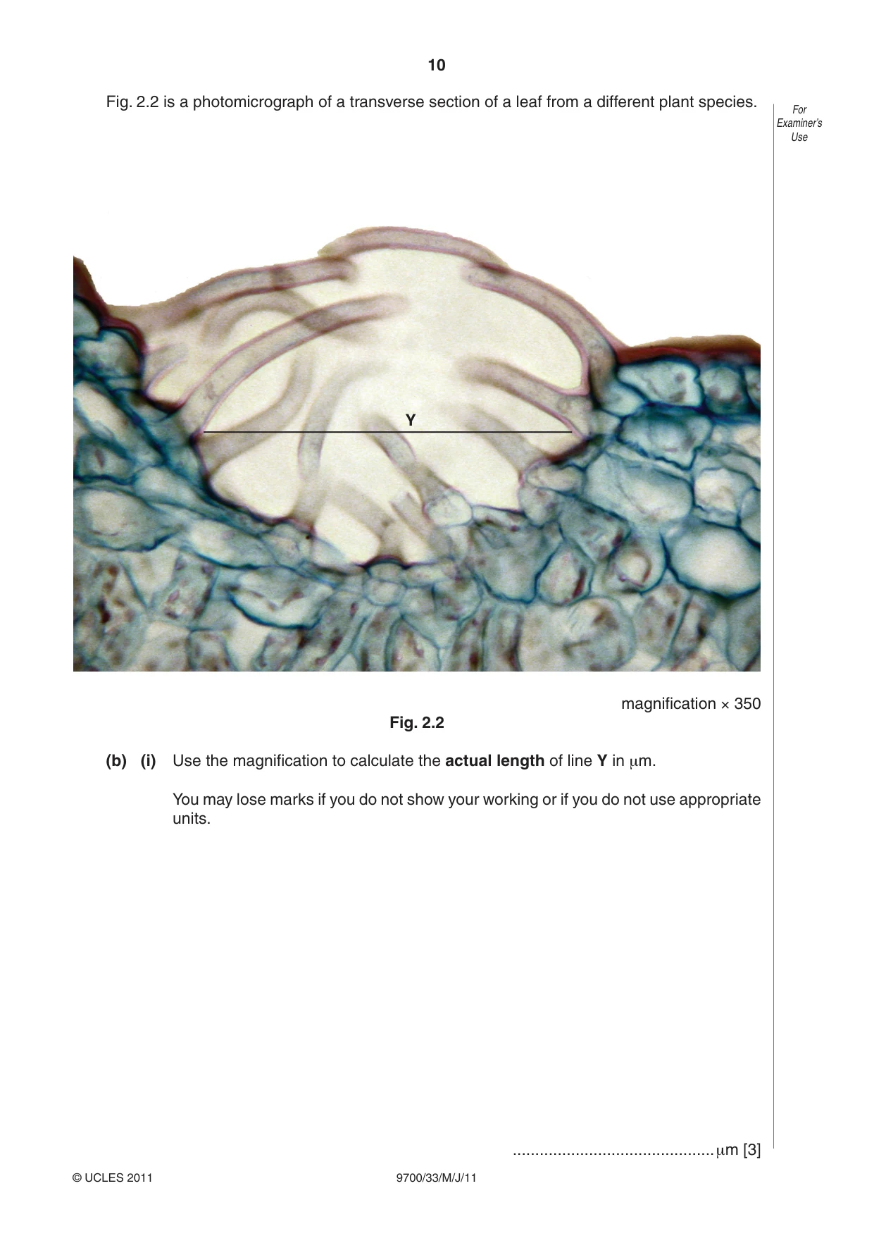 Cambridge A Level Biology 9700 2011 May/June Paper 3 · Variant 3 question paper, page 10 of 12