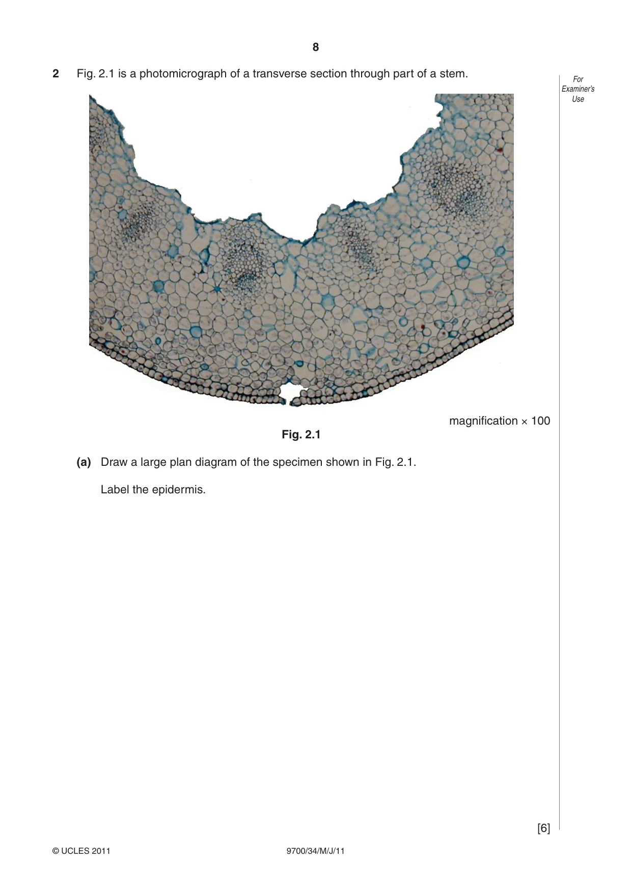 Cambridge A Level Biology 9700 2011 May/June Paper 3 · Variant 4 question paper, page 8 of 12