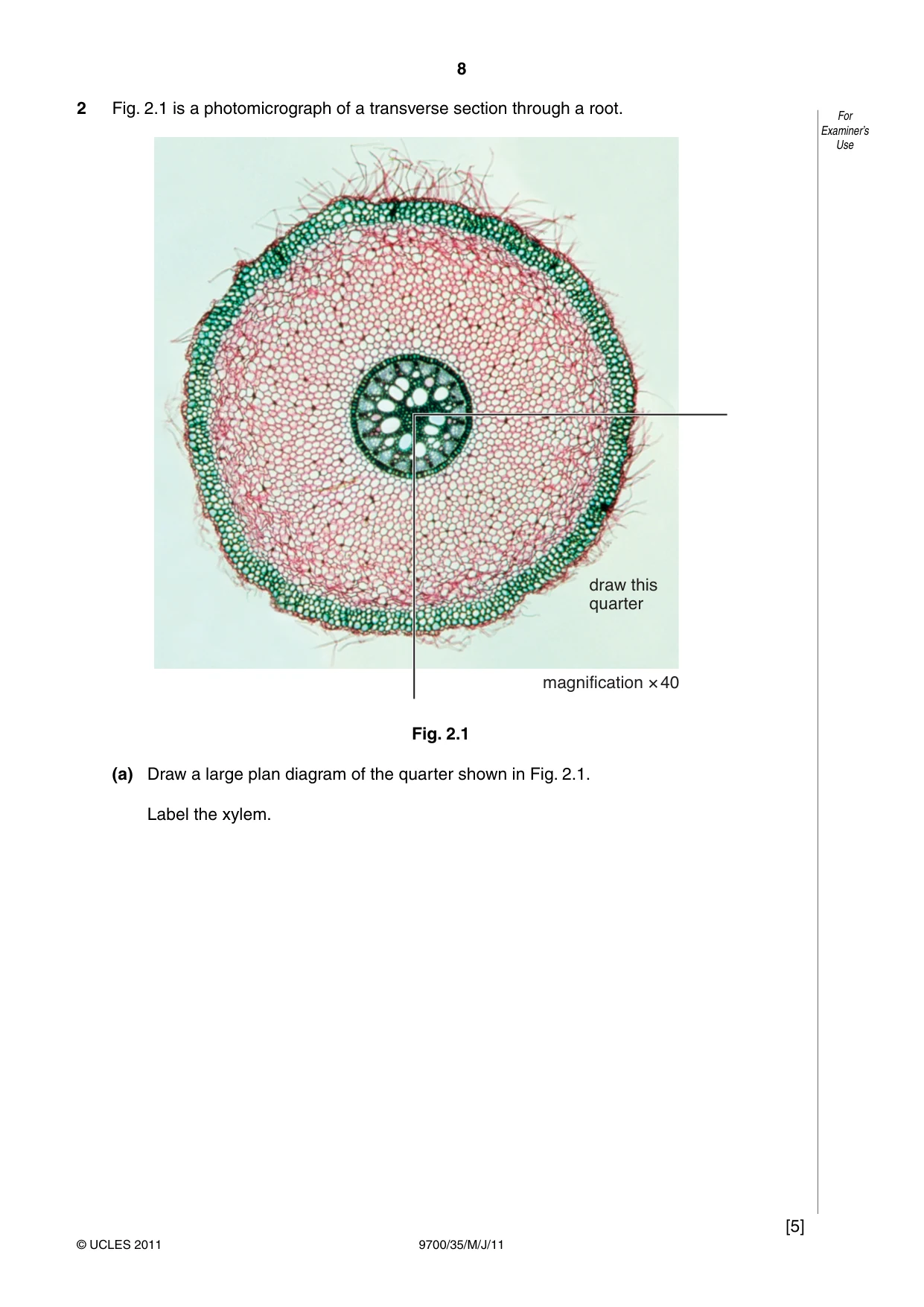 Cambridge A Level Biology 9700 2011 May/June Paper 3 · Variant 5 question paper, page 8 of 12