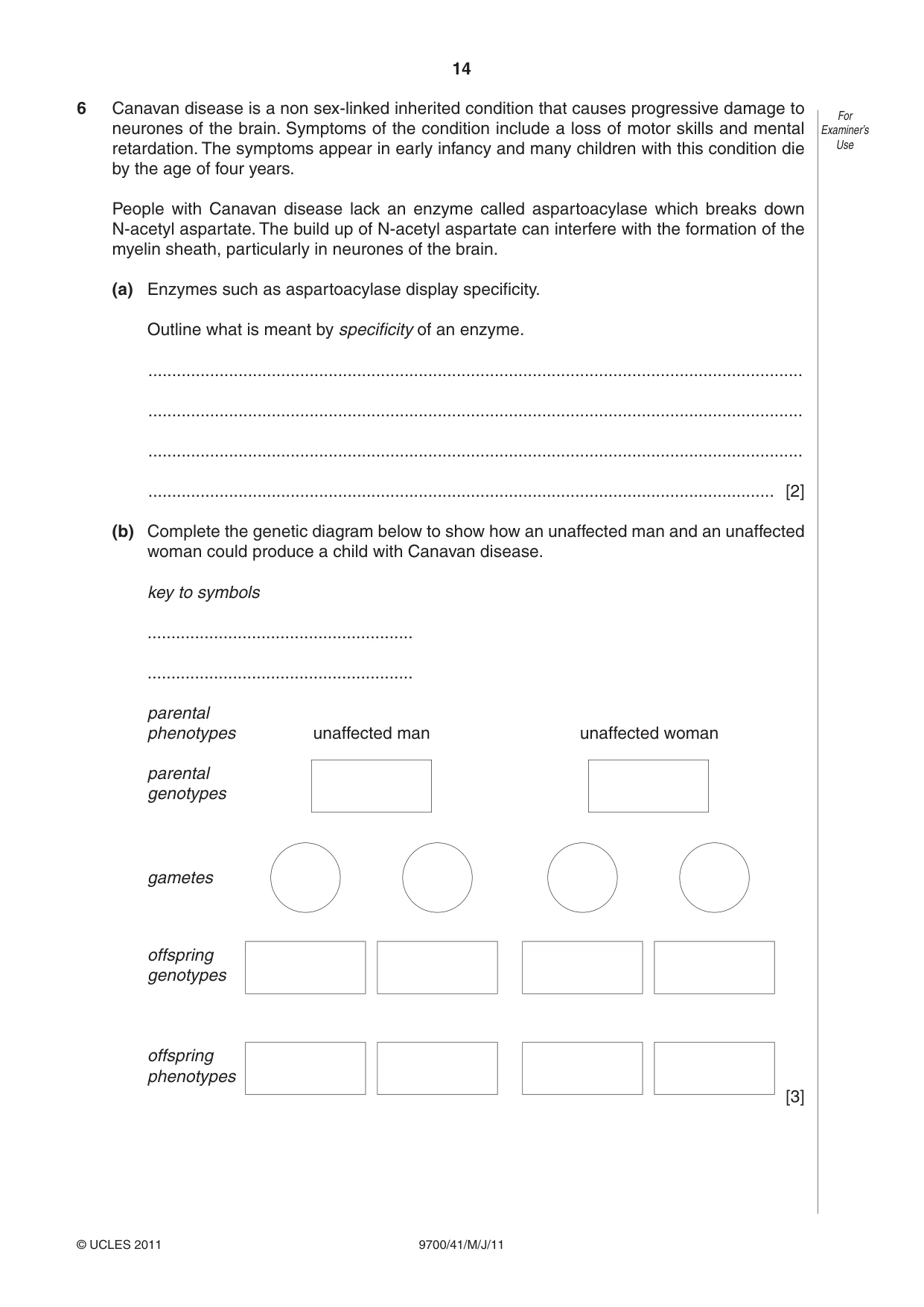Cambridge A Level Biology 9700 2011 May/June Paper 4 · Variant 1 question paper, page 14 of 28