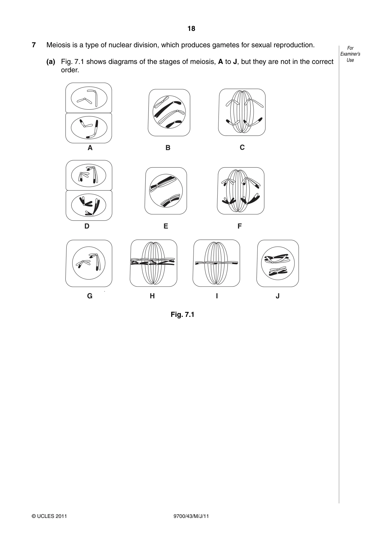 Cambridge A Level Biology 9700 2011 May/June Paper 4 · Variant 3 question paper, page 18 of 24