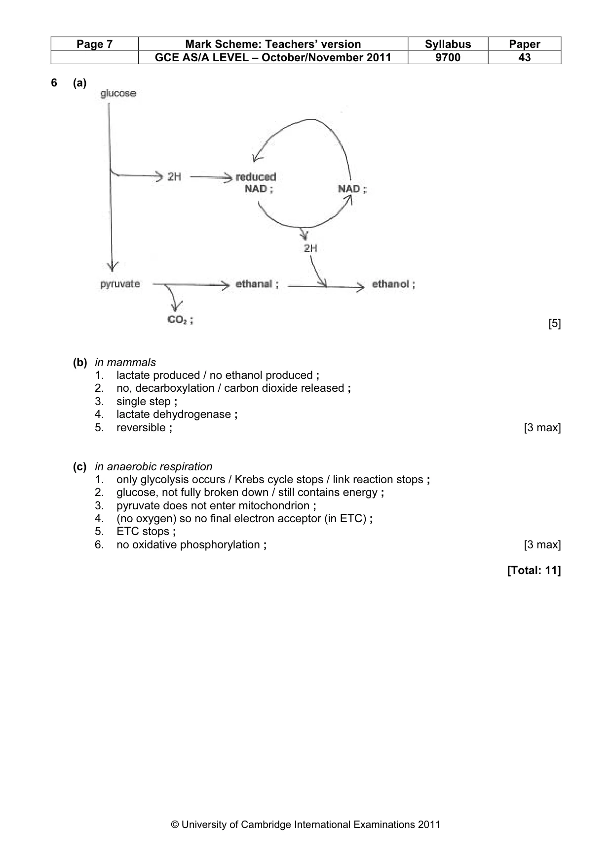 Mark scheme, page 7 of 10