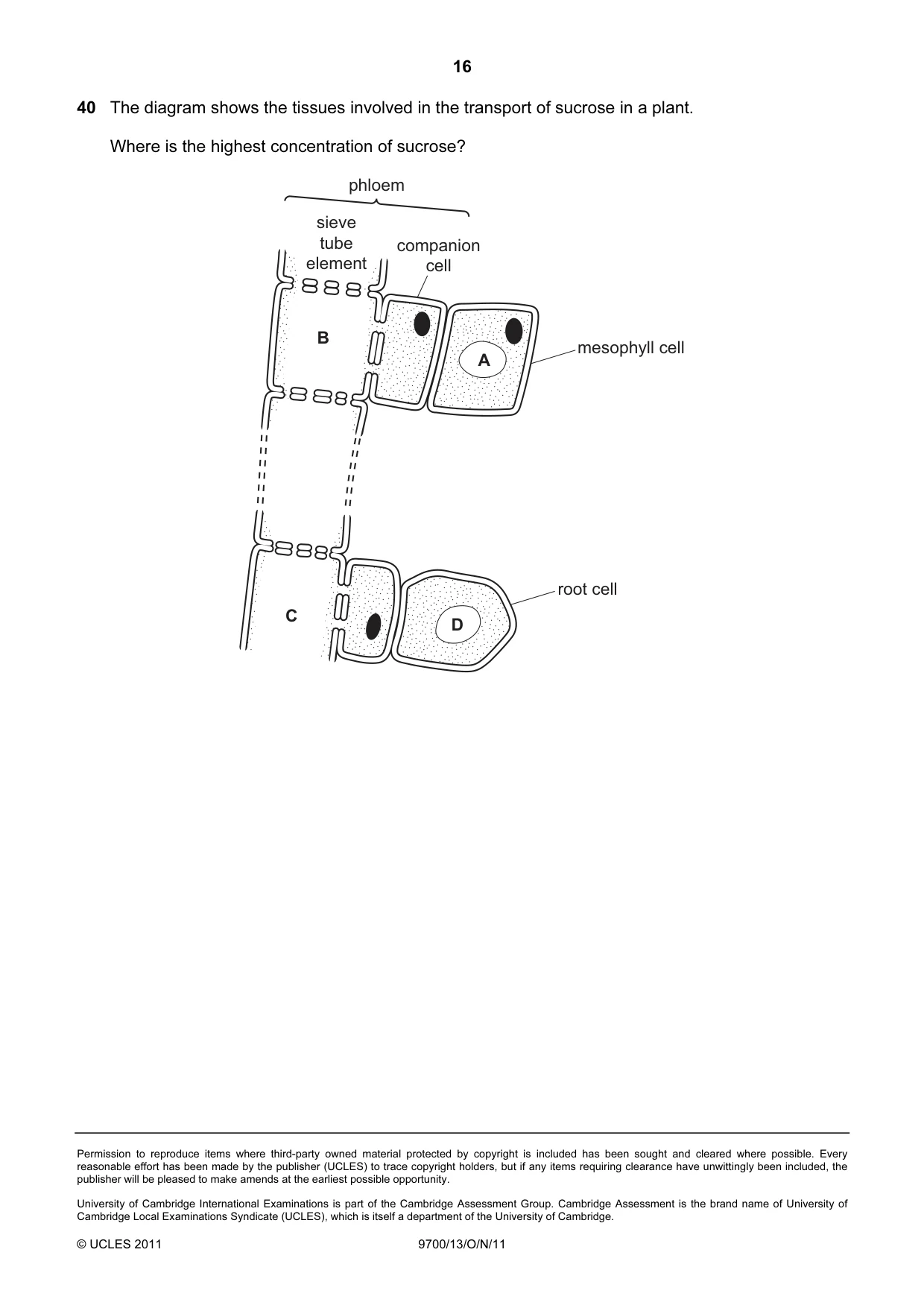 Cambridge A Level Biology 9700 2011 Oct/Nov Paper 1 · Variant 3 question paper, page 16 of 16