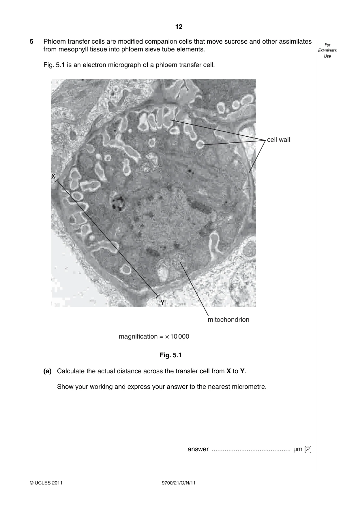 Cambridge A Level Biology 9700 2011 Oct/Nov Paper 2 · Variant 1 question paper, page 12 of 16