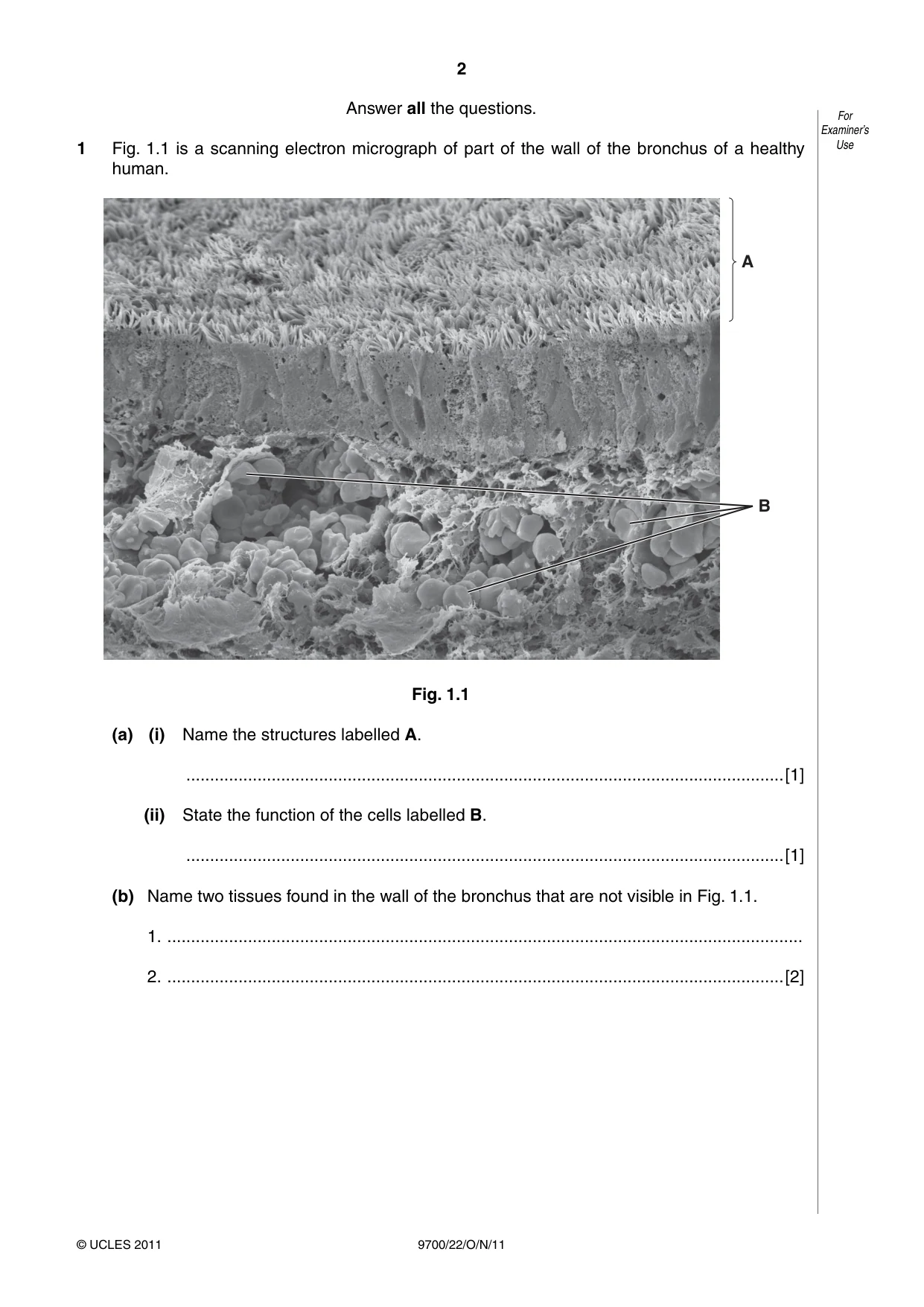 Cambridge A Level Biology 9700 2011 Oct/Nov Paper 2 · Variant 2 question paper, page 2 of 12