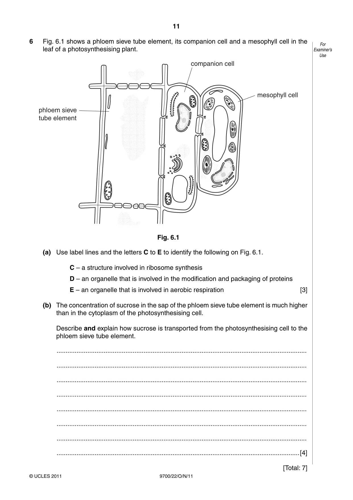 Cambridge A Level Biology 9700 2011 Oct/Nov Paper 2 · Variant 2 question paper, page 11 of 12