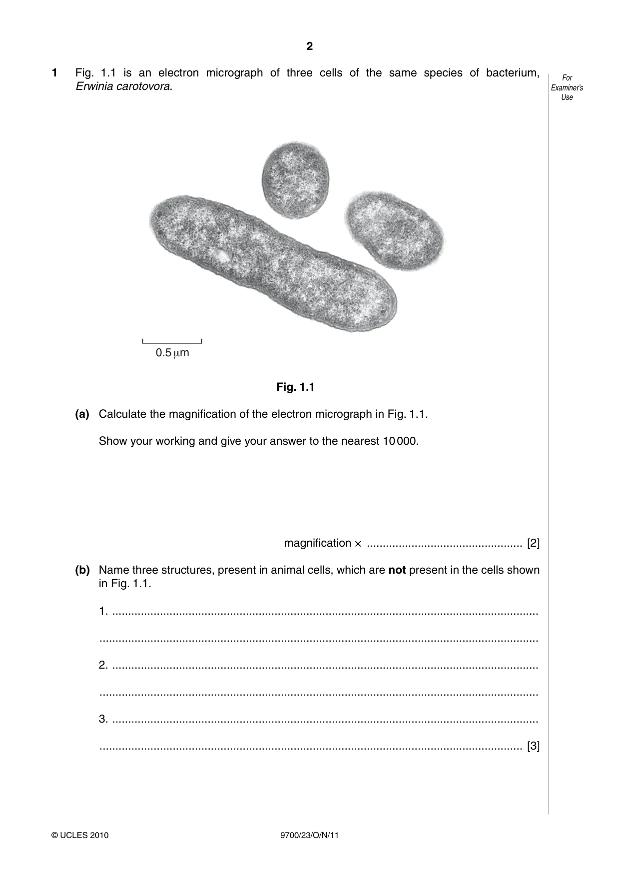 Cambridge A Level Biology 9700 2011 Oct/Nov Paper 2 · Variant 3 question paper, page 2 of 16