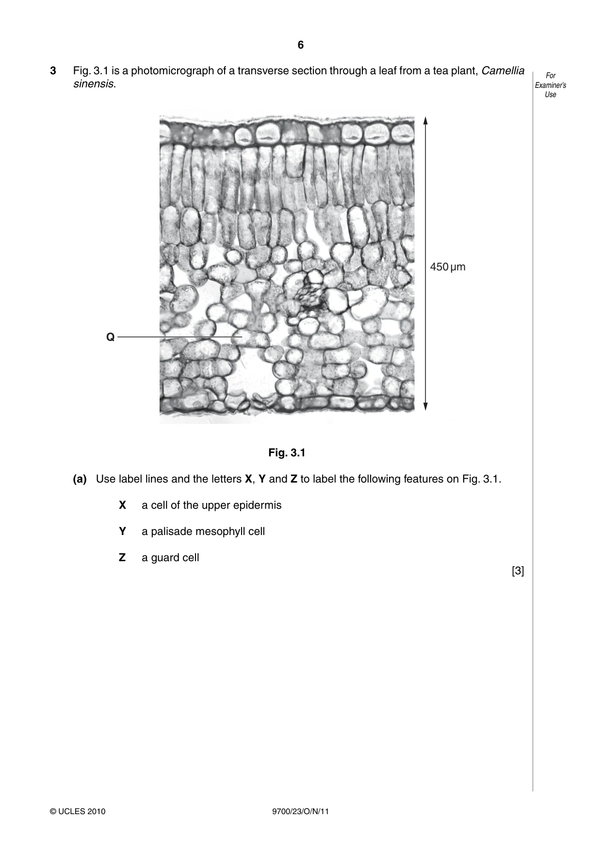 Cambridge A Level Biology 9700 2011 Oct/Nov Paper 2 · Variant 3 question paper, page 6 of 16
