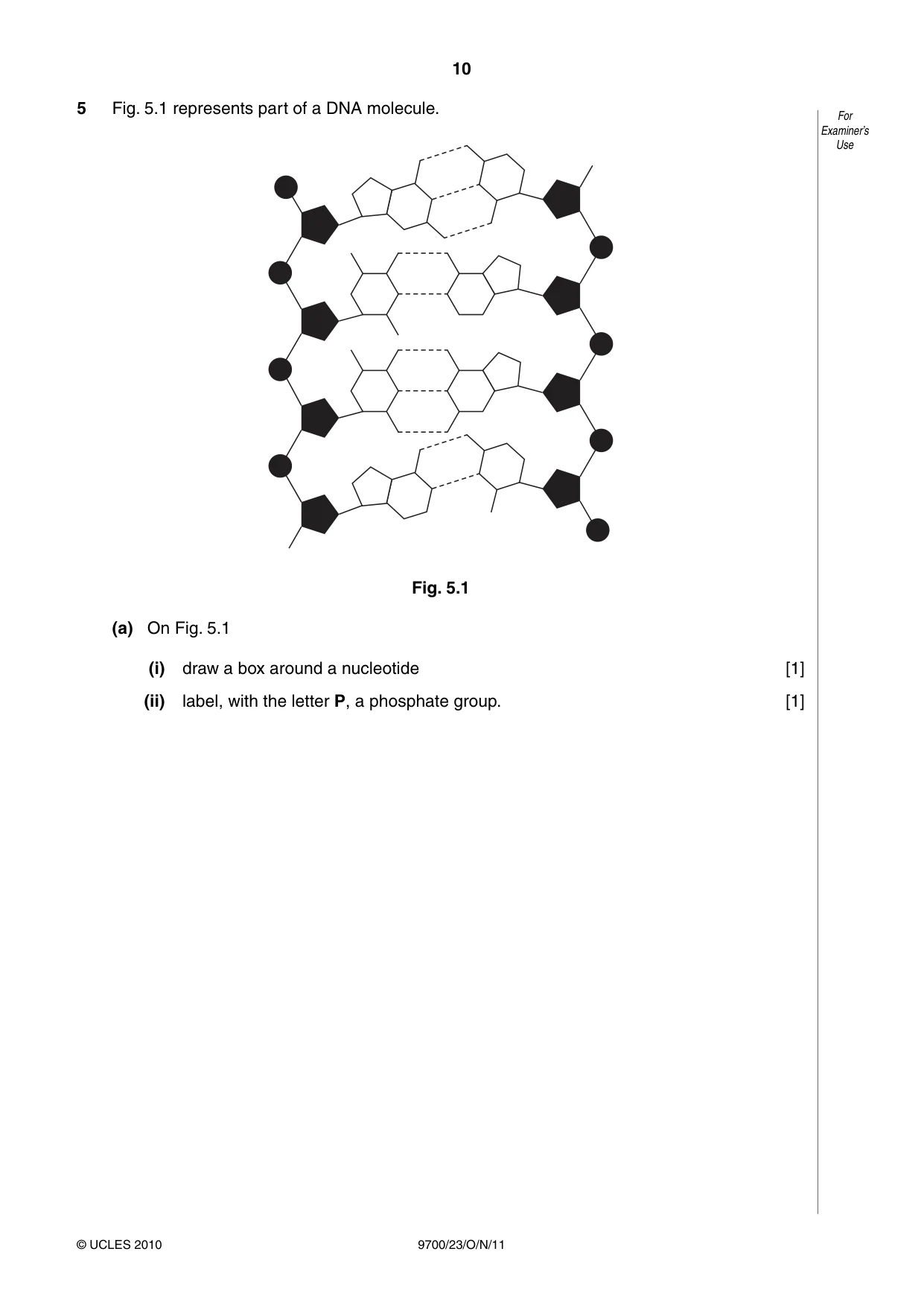 Cambridge A Level Biology 9700 2011 Oct/Nov Paper 2 · Variant 3 question paper, page 10 of 16