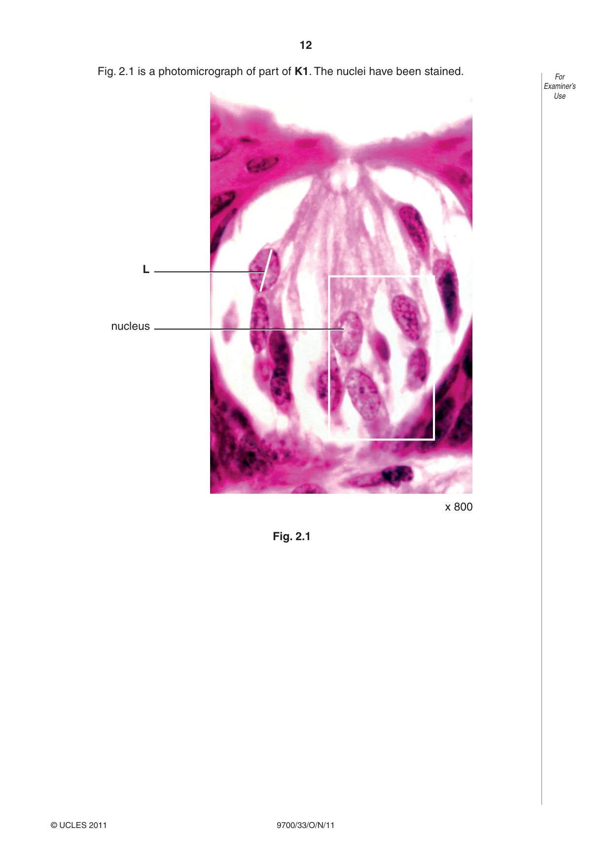 Cambridge A Level Biology 9700 2011 Oct/Nov Paper 3 · Variant 3 question paper, page 12 of 16