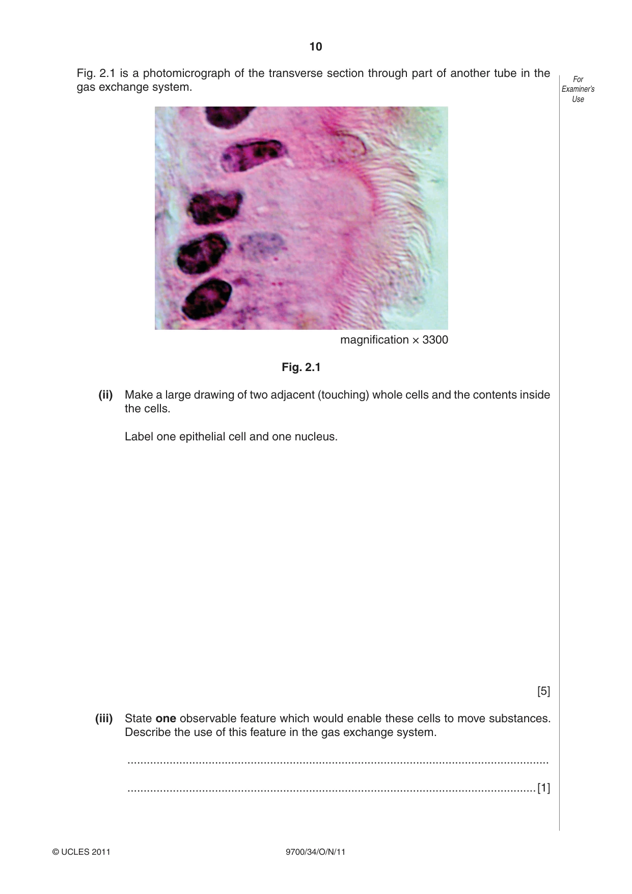Cambridge A Level Biology 9700 2011 Oct/Nov Paper 3 · Variant 4 question paper, page 10 of 12