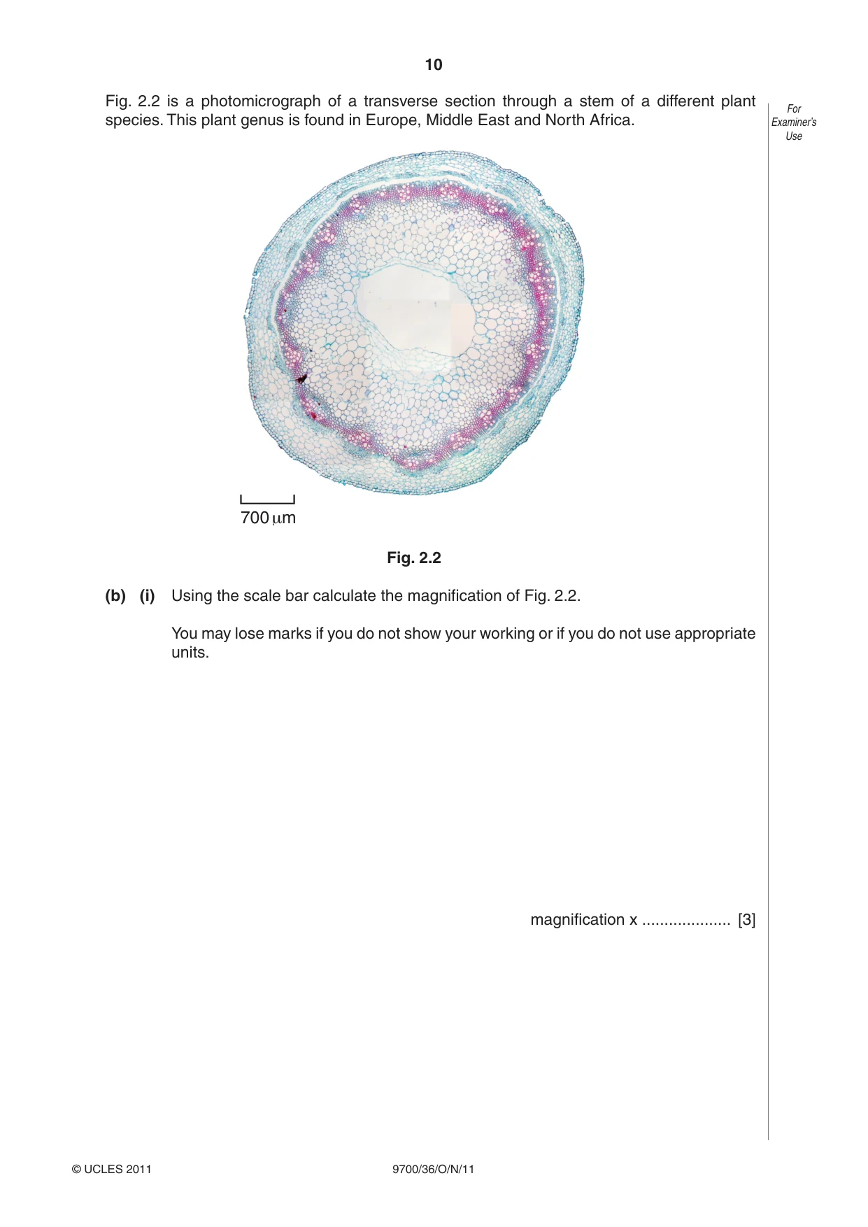 Cambridge A Level Biology 9700 2011 Oct/Nov Paper 3 · Variant 6 question paper, page 10 of 12