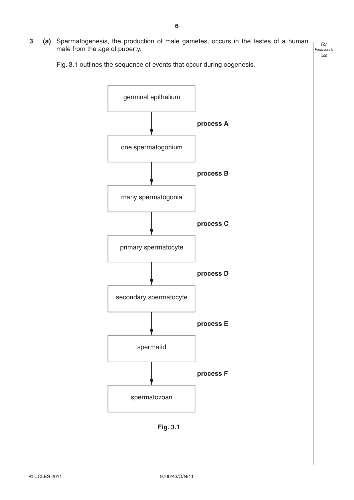 Cambridge A Level Biology 9700 2011 Oct/Nov Paper 4 · Variant 3 question paper, page 6 of 24