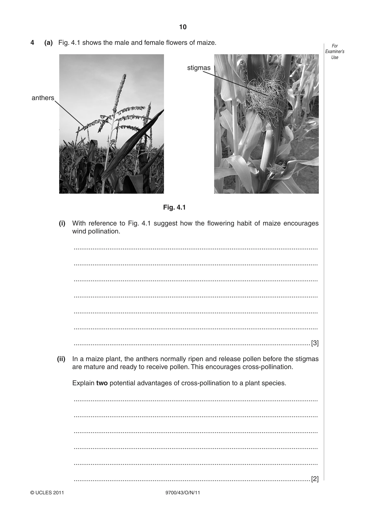 Cambridge A Level Biology 9700 2011 Oct/Nov Paper 4 · Variant 3 question paper, page 10 of 24