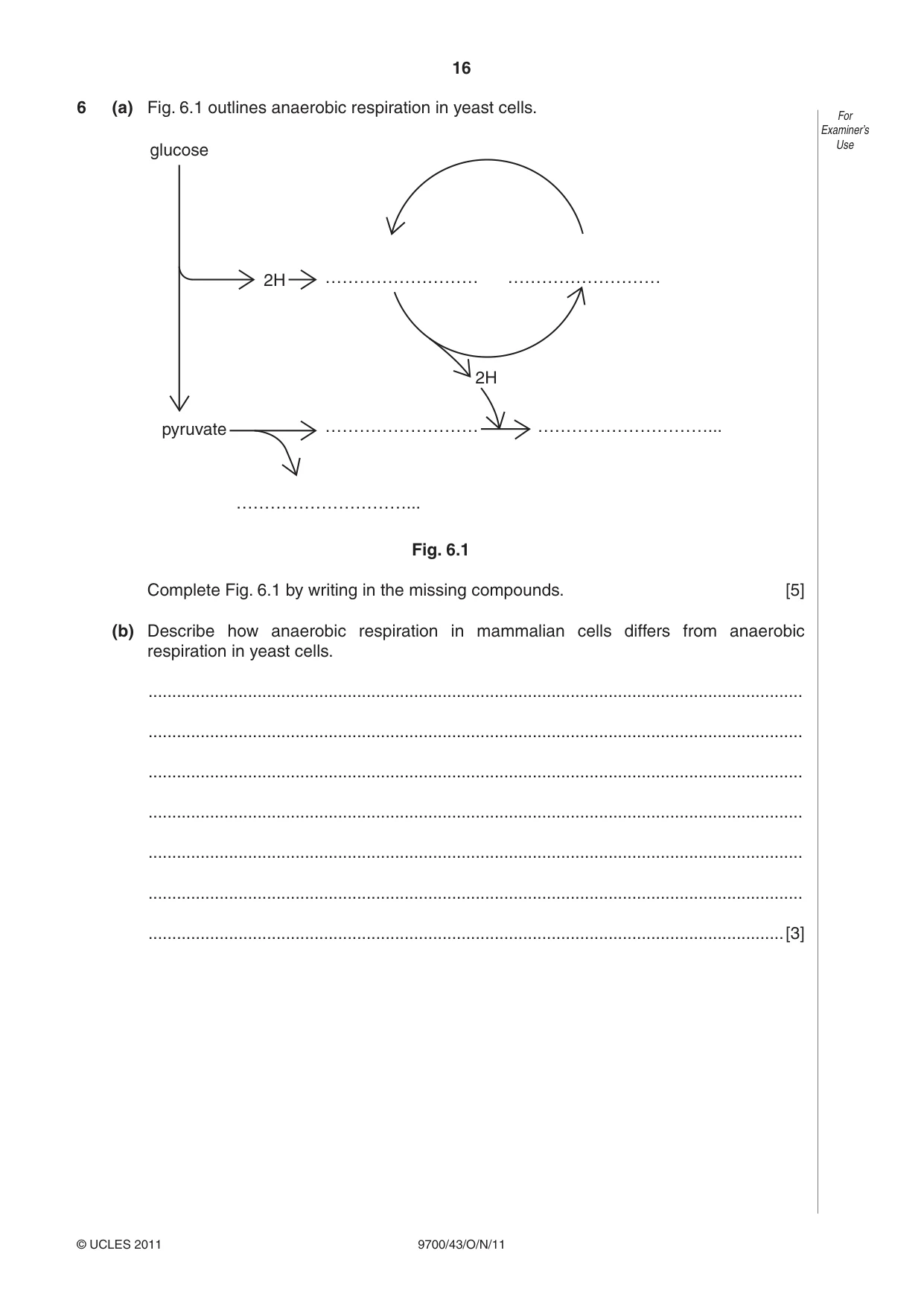 Cambridge A Level Biology 9700 2011 Oct/Nov Paper 4 · Variant 3 question paper, page 16 of 24