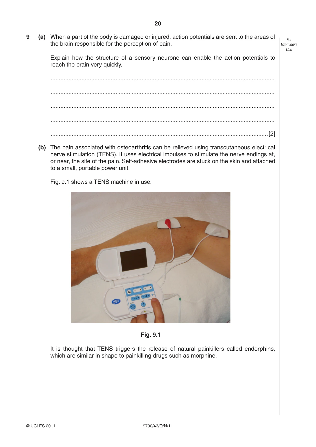 Cambridge A Level Biology 9700 2011 Oct/Nov Paper 4 · Variant 3 question paper, page 20 of 24