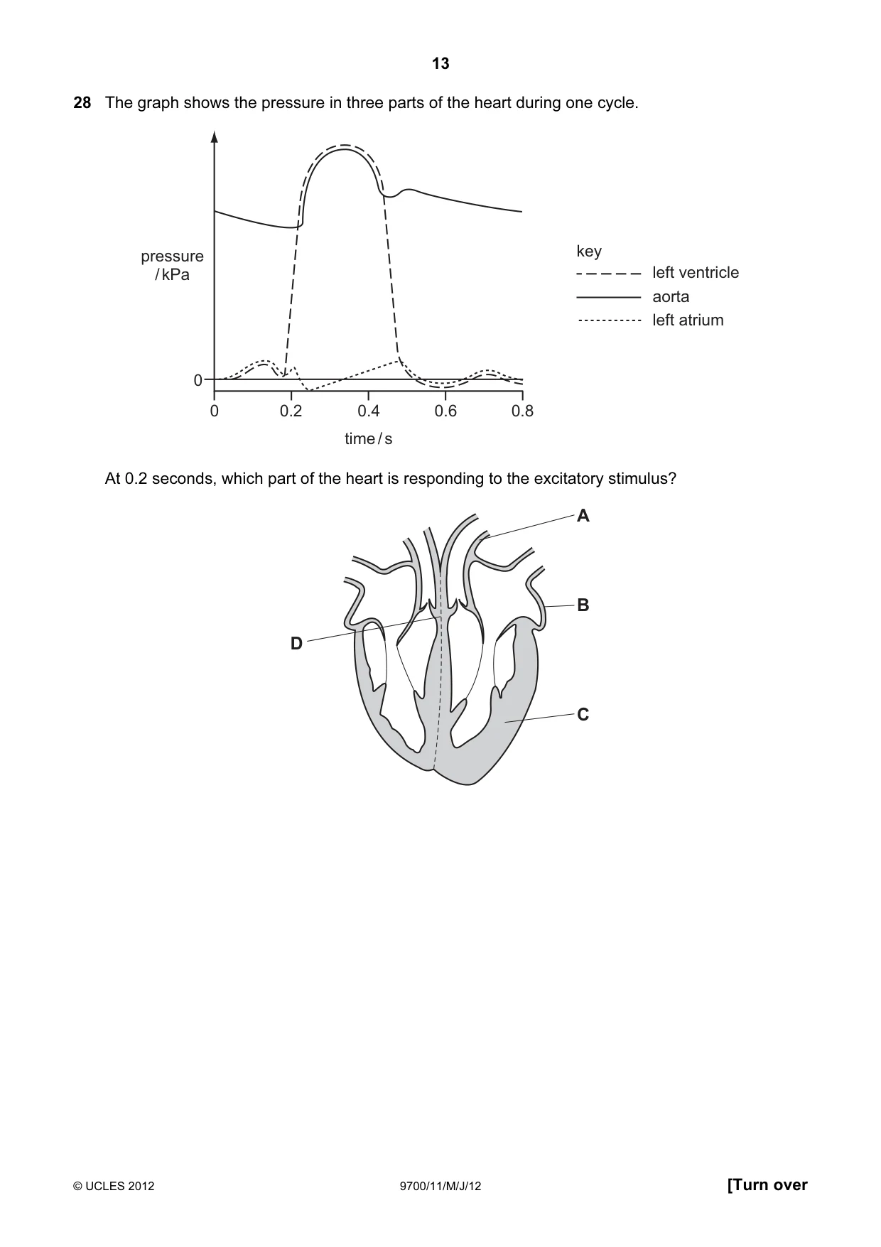 Cambridge A Level Biology 9700 2012 May/June Paper 1 · Variant 1 question paper, page 13 of 20