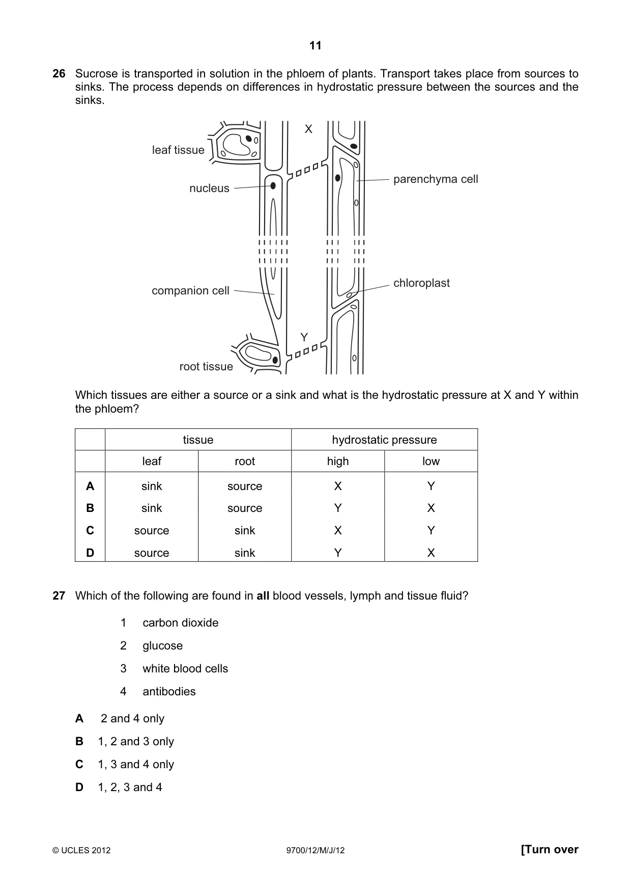 Cambridge A Level Biology 9700 2012 May/June Paper 1 · Variant 2 question paper, page 11 of 20
