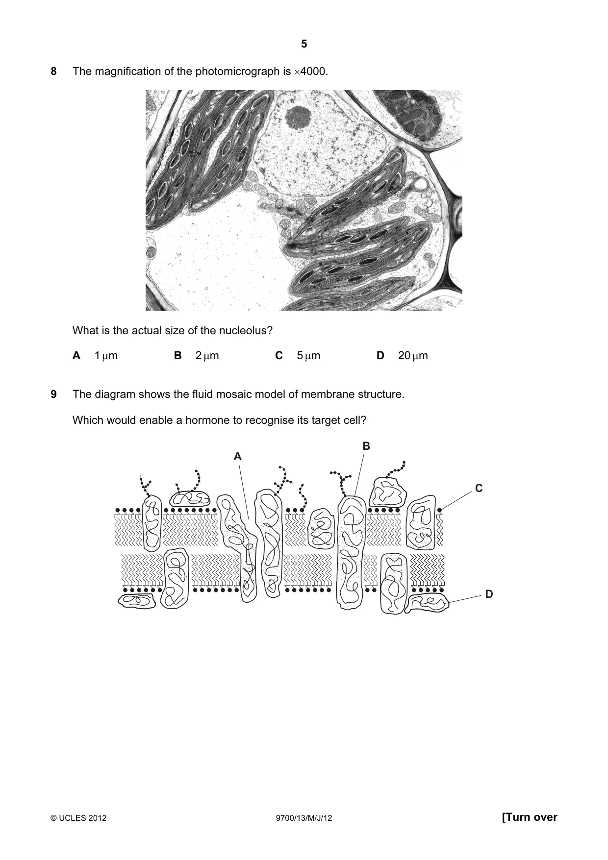 Cambridge A Level Biology 9700 2012 May/June Paper 1 · Variant 3 question paper, page 5 of 20