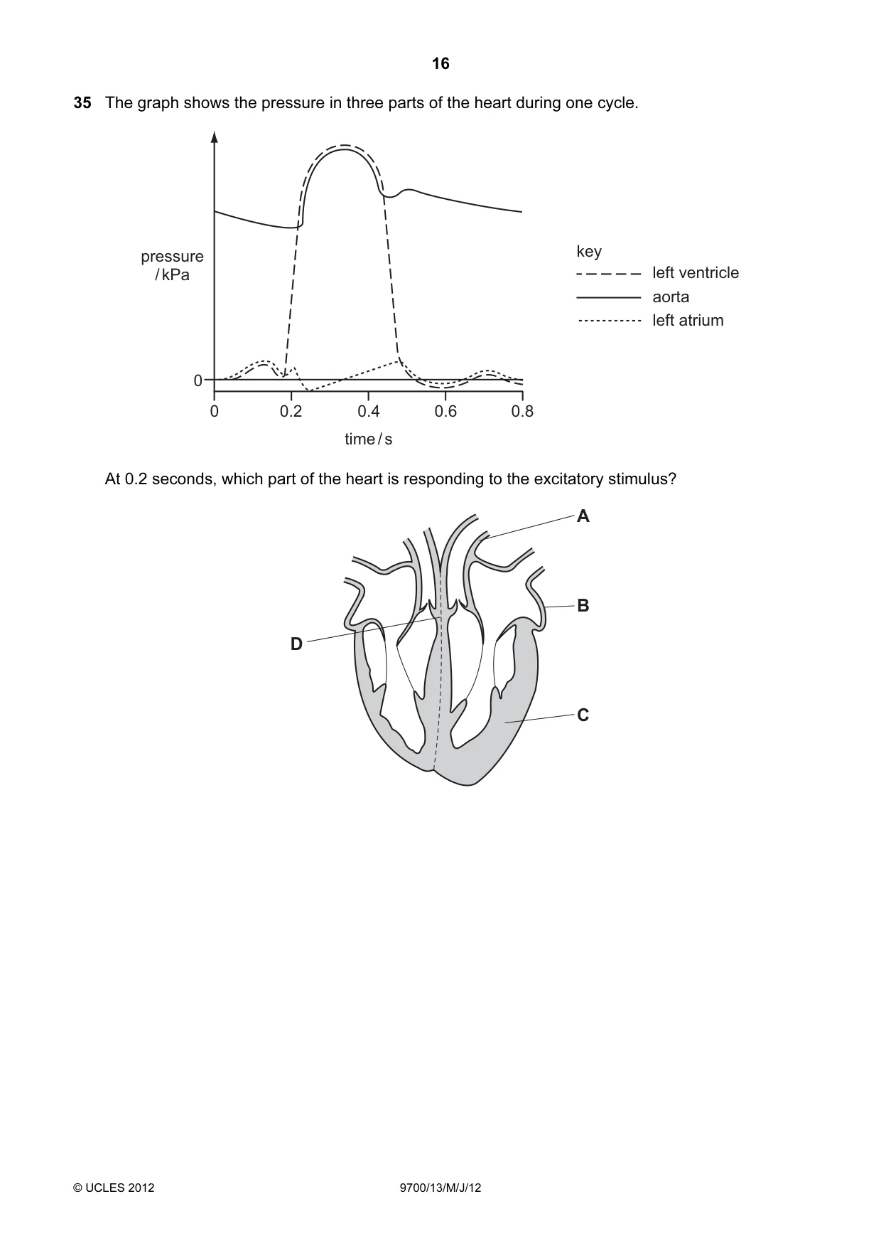 Cambridge A Level Biology 9700 2012 May/June Paper 1 · Variant 3 question paper, page 16 of 20