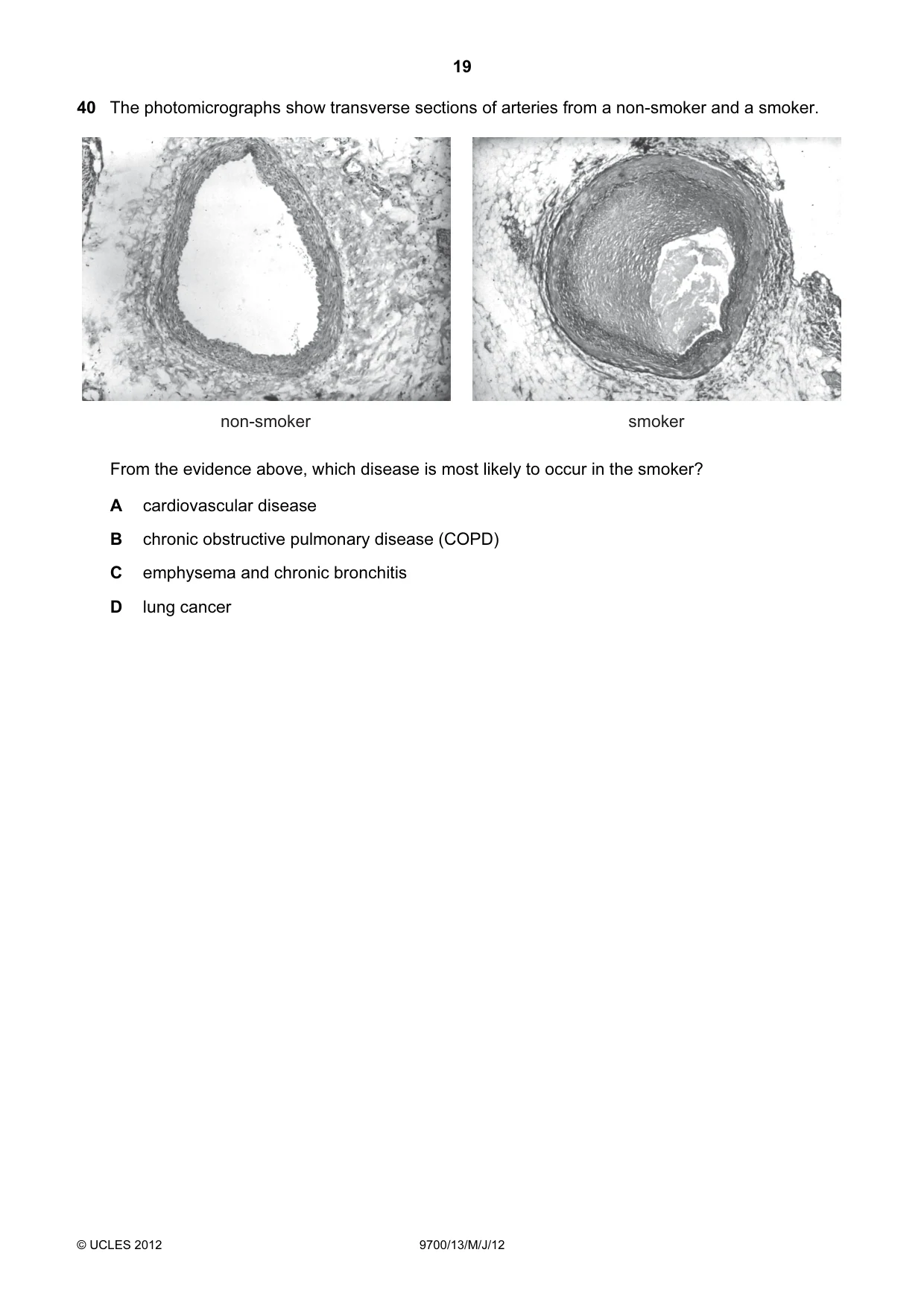 Cambridge A Level Biology 9700 2012 May/June Paper 1 · Variant 3 question paper, page 19 of 20