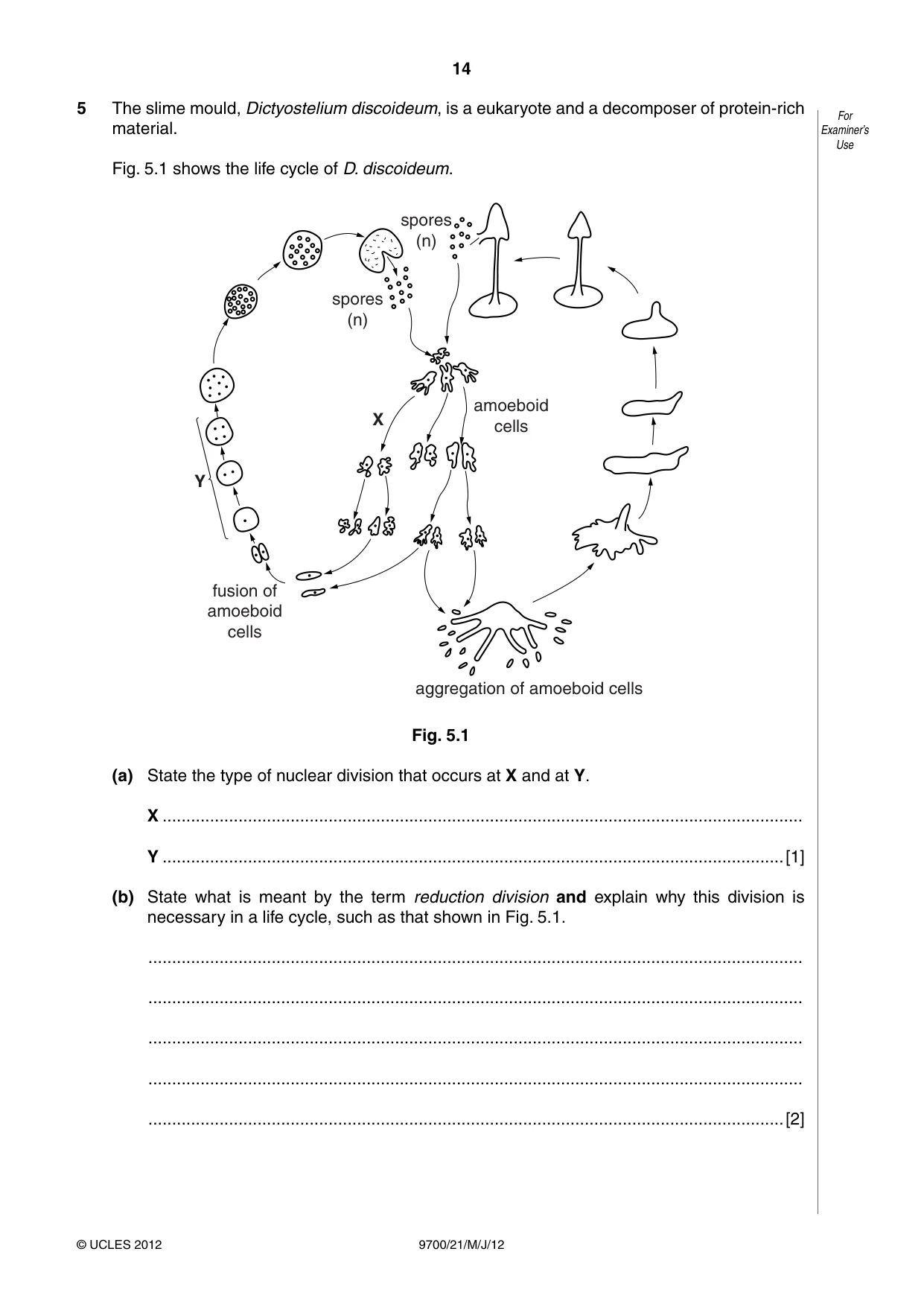 Cambridge A Level Biology 9700 2012 May/June Paper 2 · Variant 1 question paper, page 14 of 20