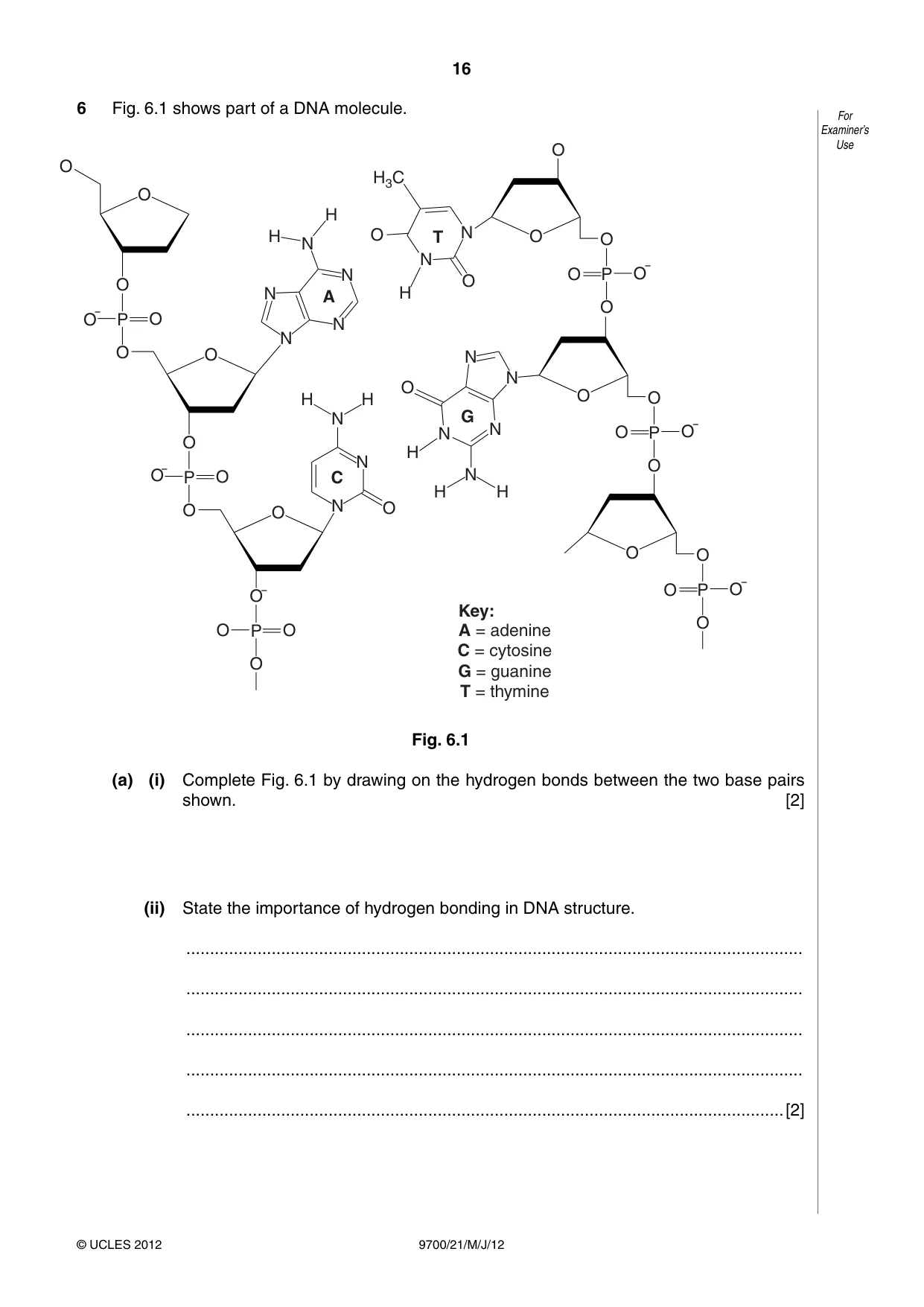 Cambridge A Level Biology 9700 2012 May/June Paper 2 · Variant 1 question paper, page 16 of 20