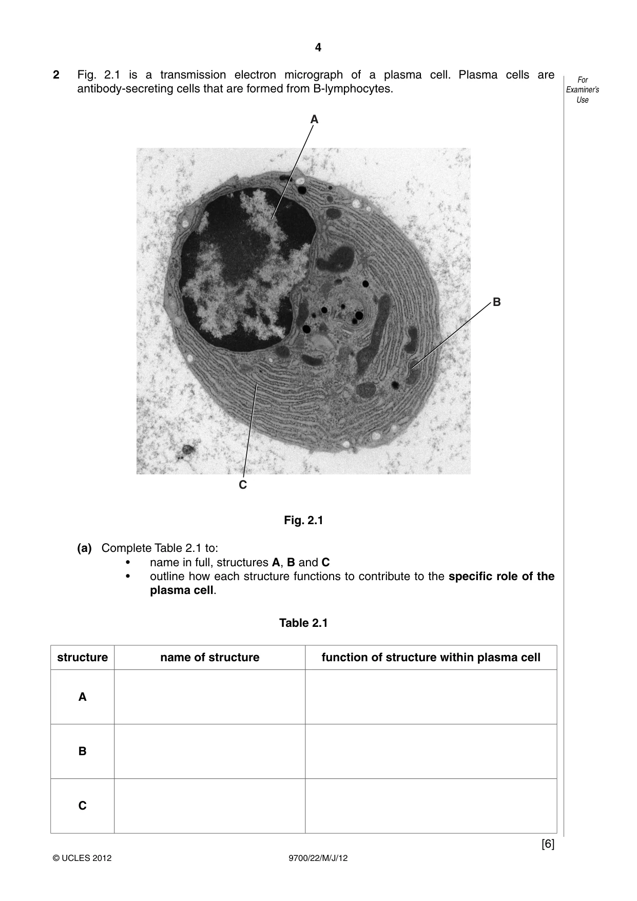 Cambridge A Level Biology 9700 2012 May/June Paper 2 · Variant 2 question paper, page 4 of 16