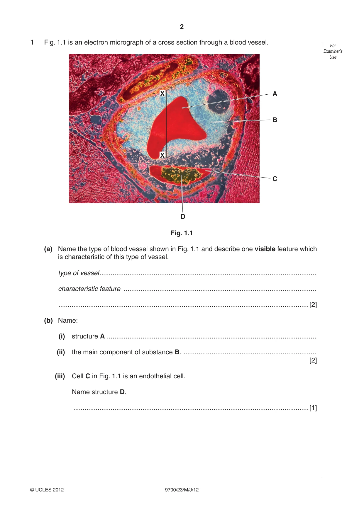 Cambridge A Level Biology 9700 2012 May/June Paper 2 · Variant 3 question paper, page 2 of 16