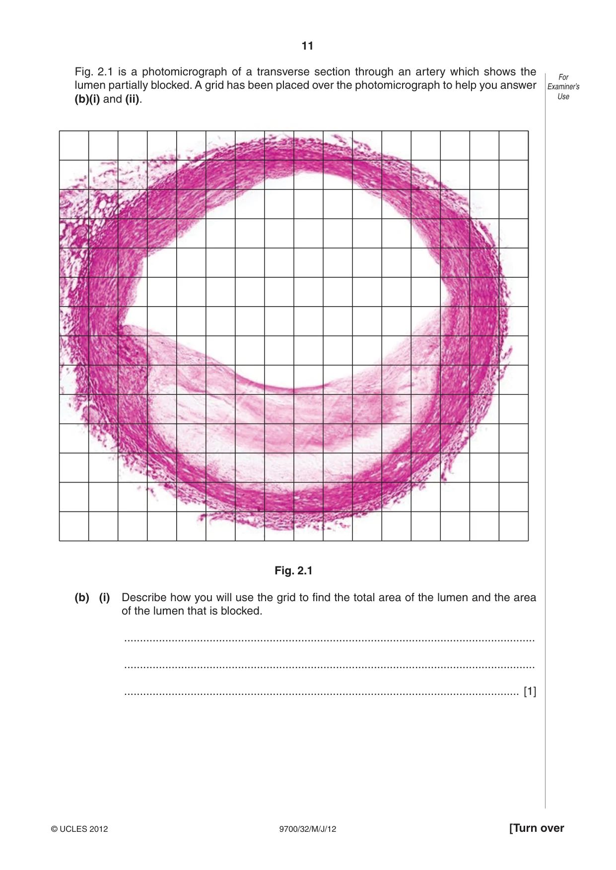 Cambridge A Level Biology 9700 2012 May/June Paper 3 · Variant 2 question paper, page 11 of 16