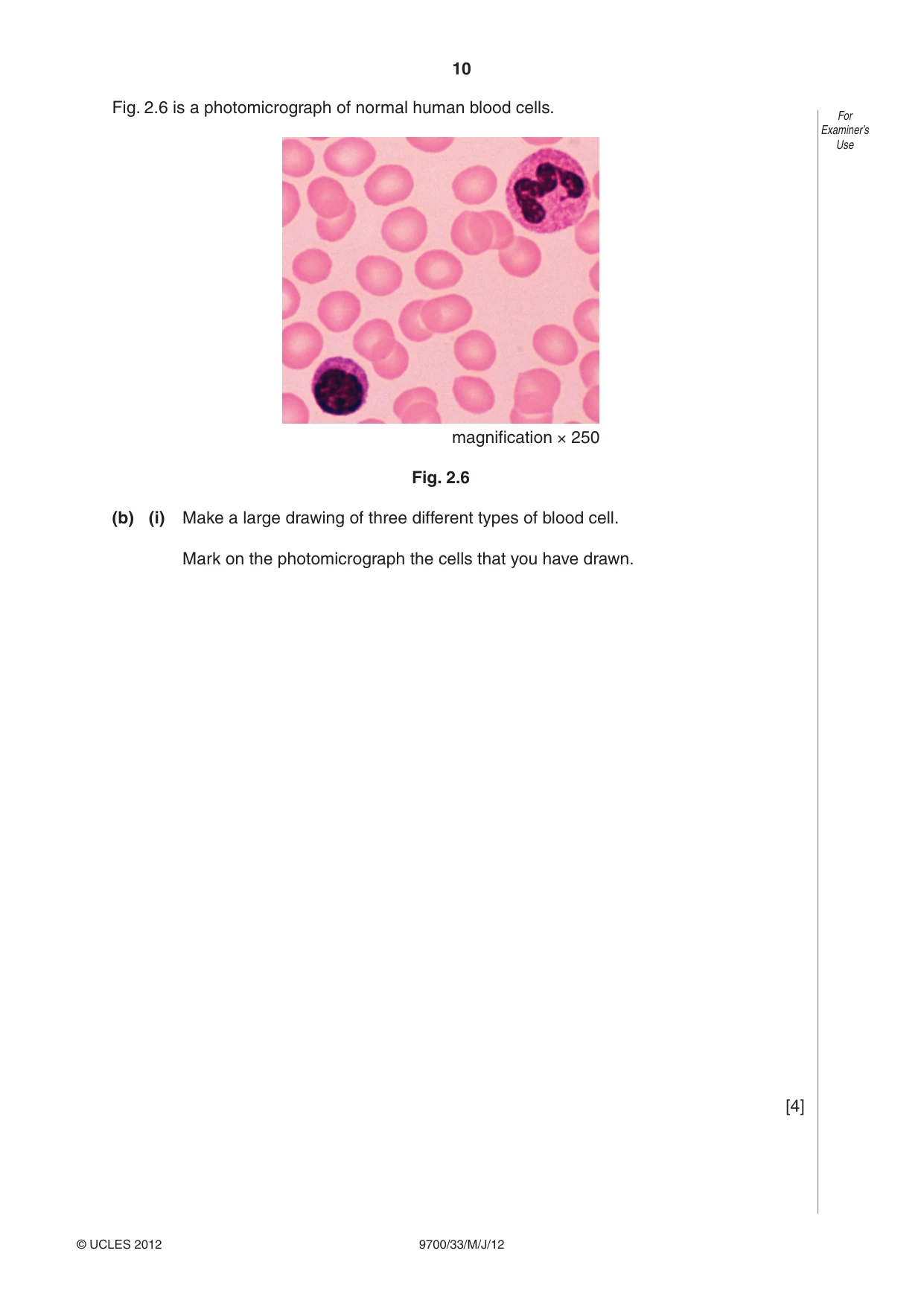 Cambridge A Level Biology 9700 2012 May/June Paper 3 · Variant 3 question paper, page 10 of 12