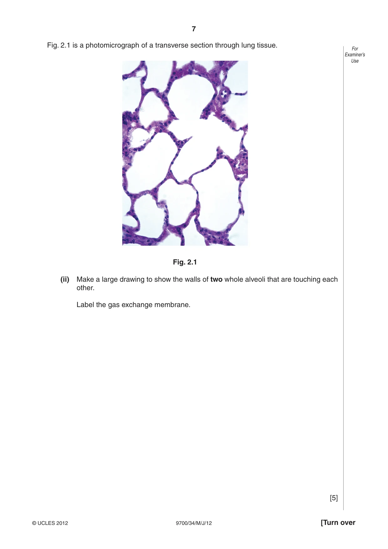 Cambridge A Level Biology 9700 2012 May/June Paper 3 · Variant 4 question paper, page 7 of 12