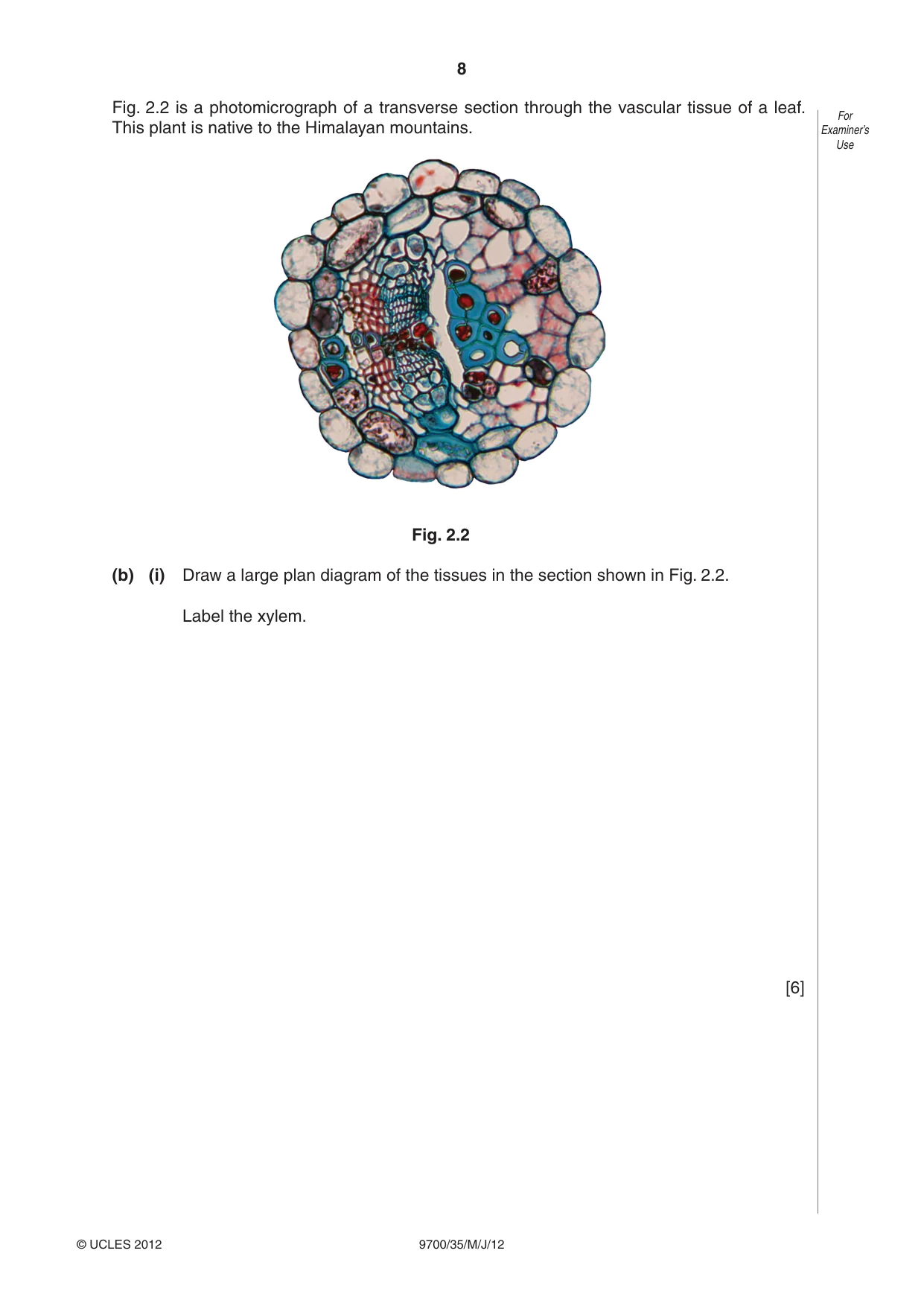 Cambridge A Level Biology 9700 2012 May/June Paper 3 · Variant 5 question paper, page 8 of 12