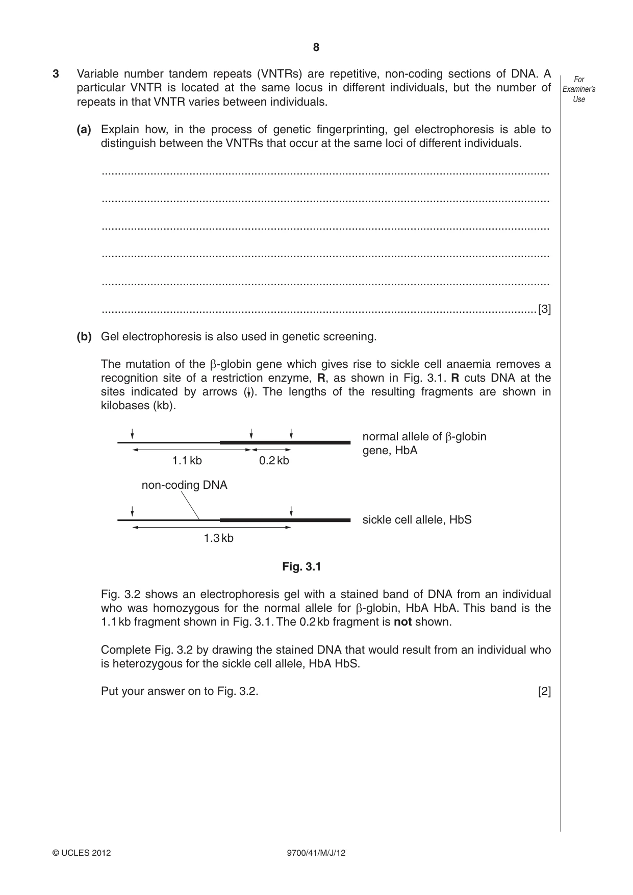 Cambridge A Level Biology 9700 2012 May/June Paper 4 · Variant 1 question paper, page 8 of 28