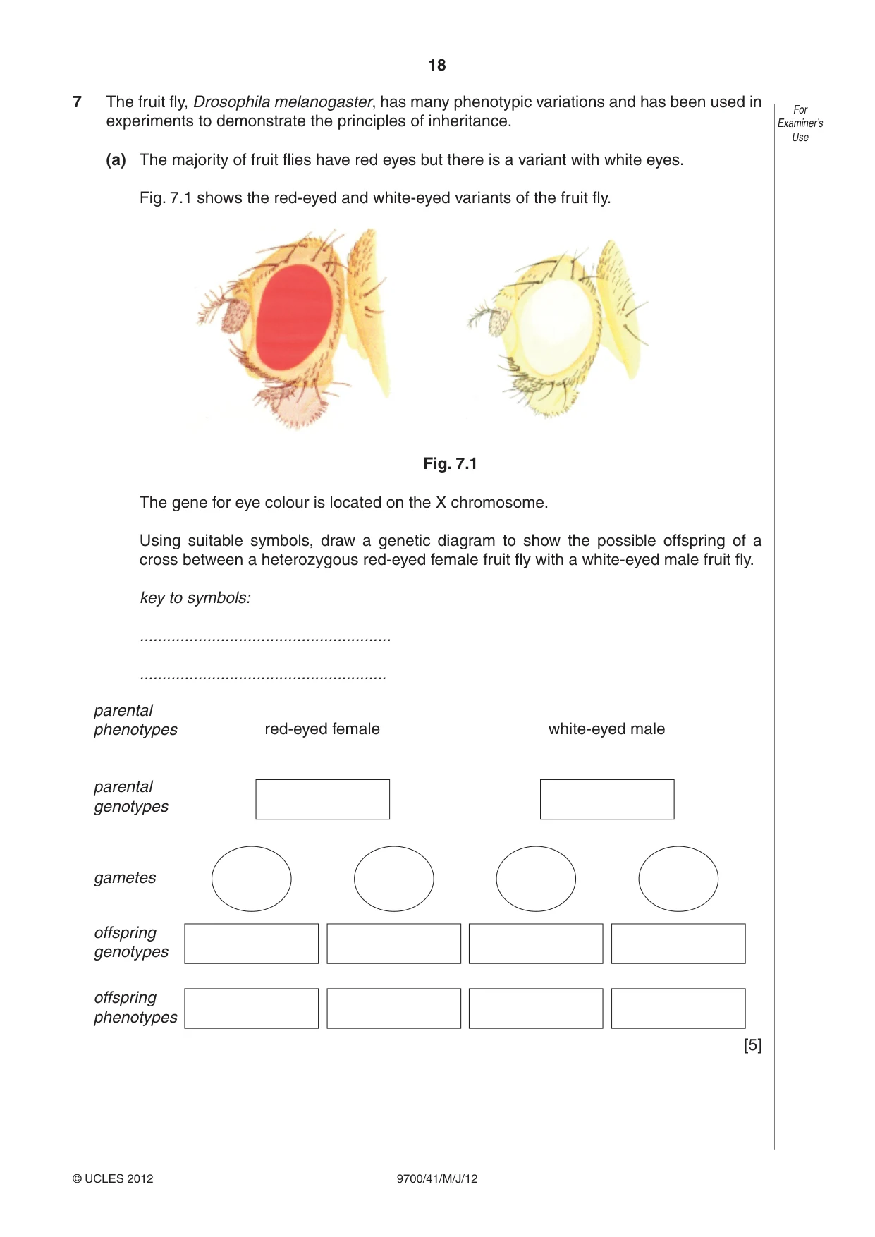 Cambridge A Level Biology 9700 2012 May/June Paper 4 · Variant 1 question paper, page 18 of 28