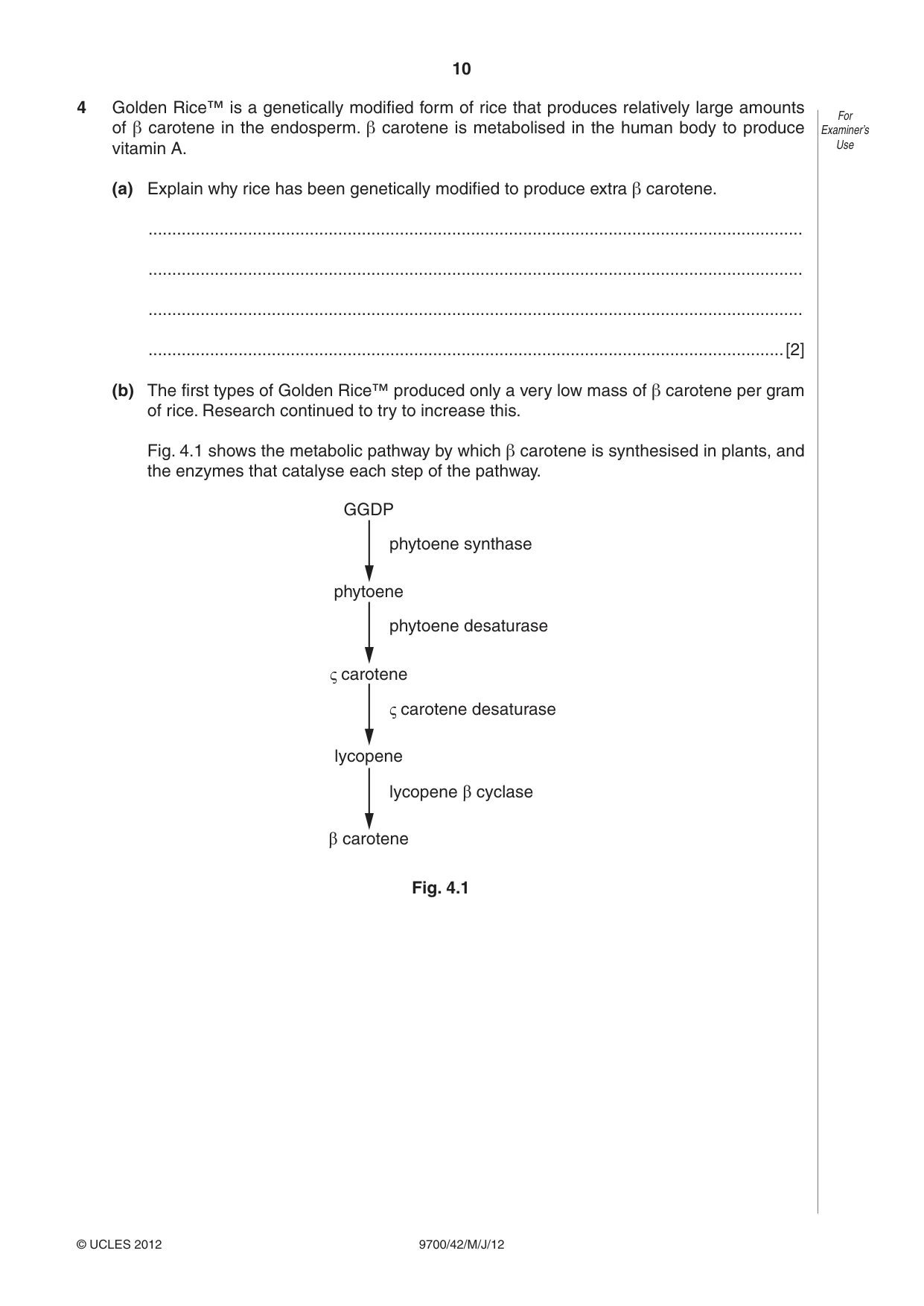 Cambridge A Level Biology 9700 2012 May/June Paper 4 · Variant 2 question paper, page 10 of 28