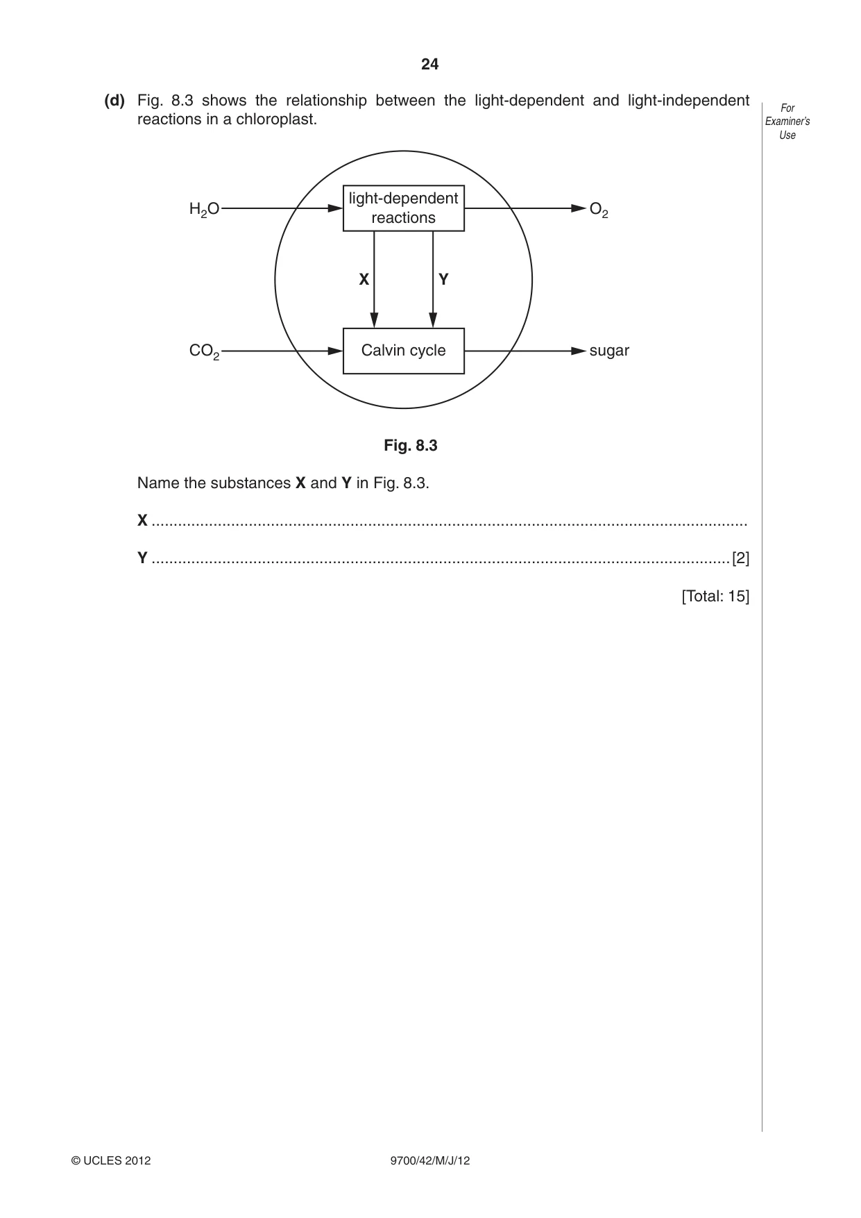 Cambridge A Level Biology 9700 2012 May/June Paper 4 · Variant 2 question paper, page 24 of 28