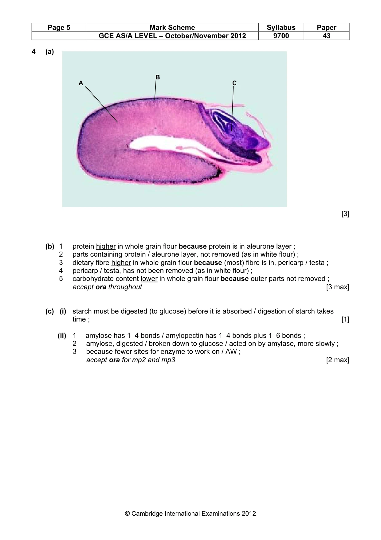 Mark scheme, page 5 of 10