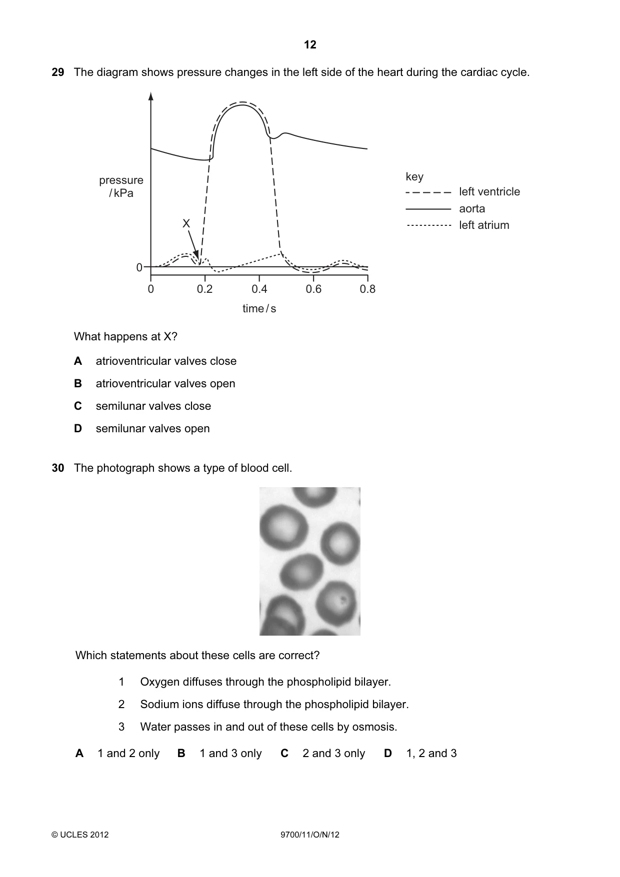 Cambridge A Level Biology 9700 2012 Oct/Nov Paper 1 · Variant 1 question paper, page 12 of 16