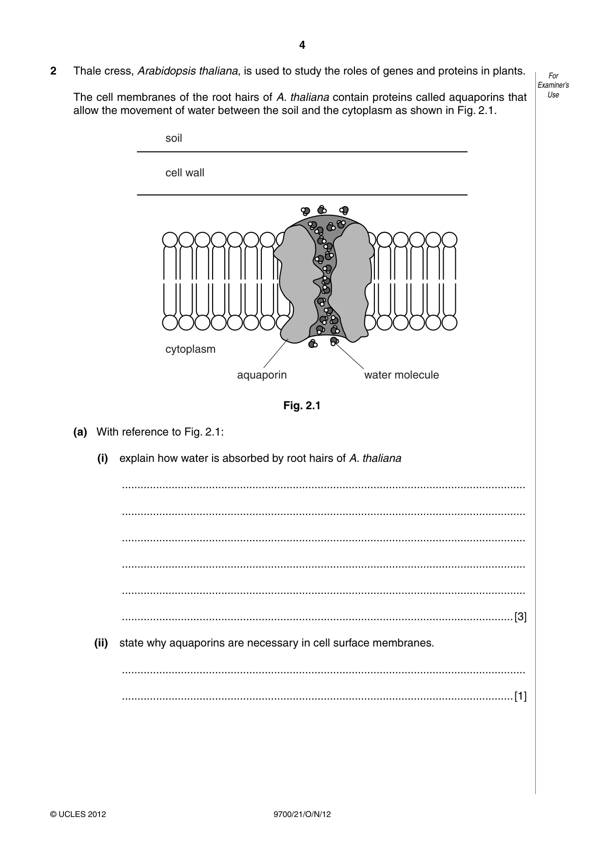 Cambridge A Level Biology 9700 2012 Oct/Nov Paper 2 · Variant 1 question paper, page 4 of 16