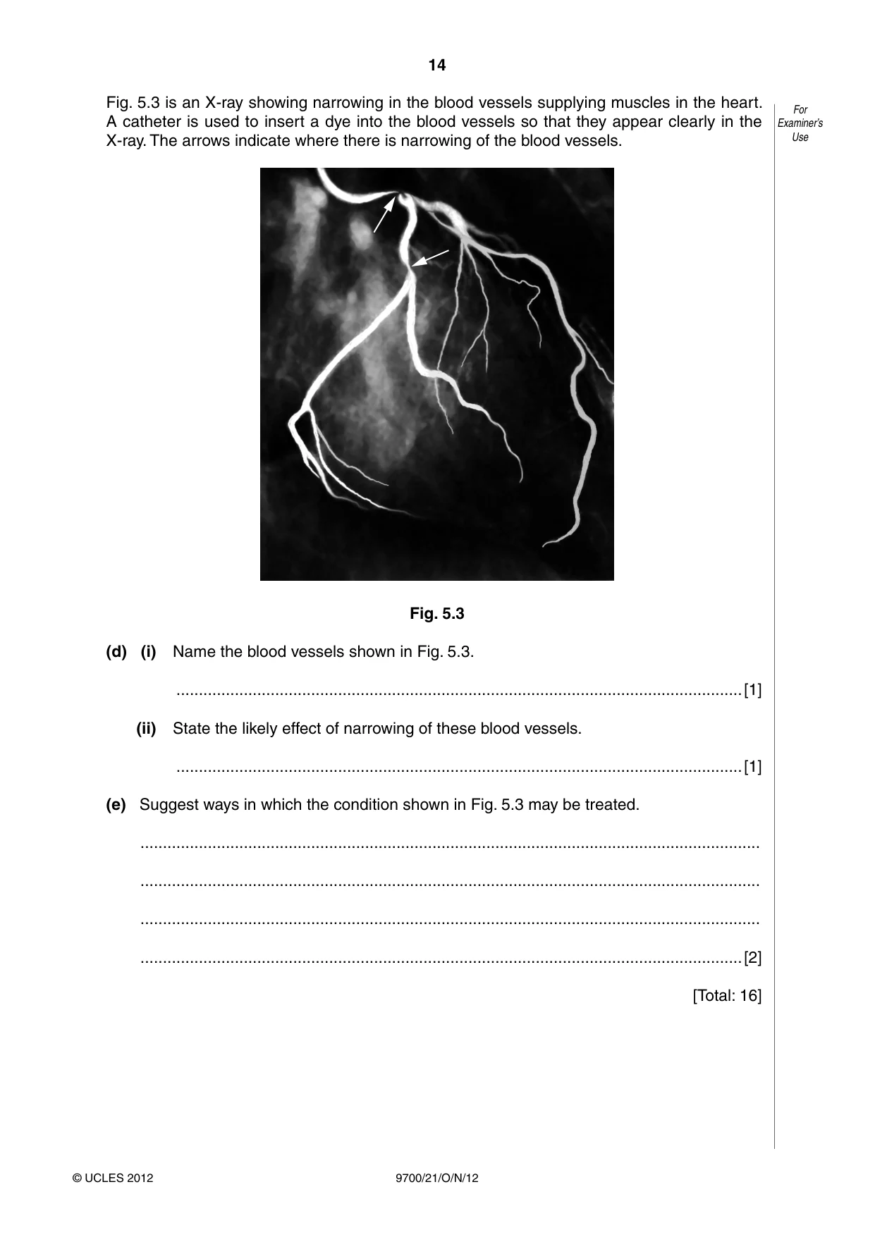 Cambridge A Level Biology 9700 2012 Oct/Nov Paper 2 · Variant 1 question paper, page 14 of 16