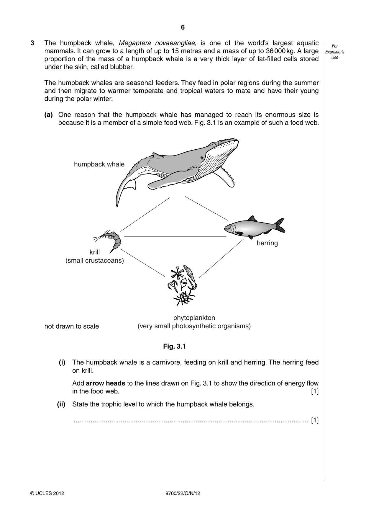 Cambridge A Level Biology 9700 2012 Oct/Nov Paper 2 · Variant 2 question paper, page 6 of 16