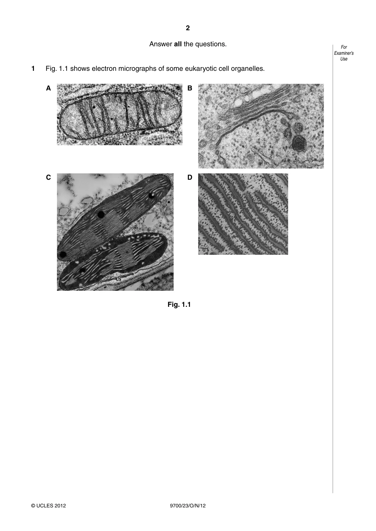 Cambridge A Level Biology 9700 2012 Oct/Nov Paper 2 · Variant 3 question paper, page 2 of 16