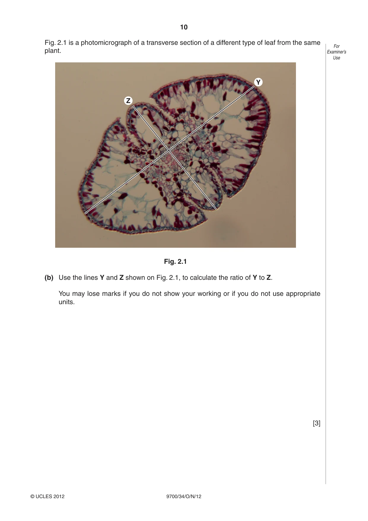 Cambridge A Level Biology 9700 2012 Oct/Nov Paper 3 · Variant 4 question paper, page 10 of 12